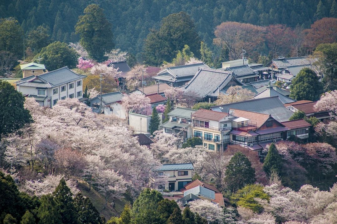 10 Best Things to Do in Nara