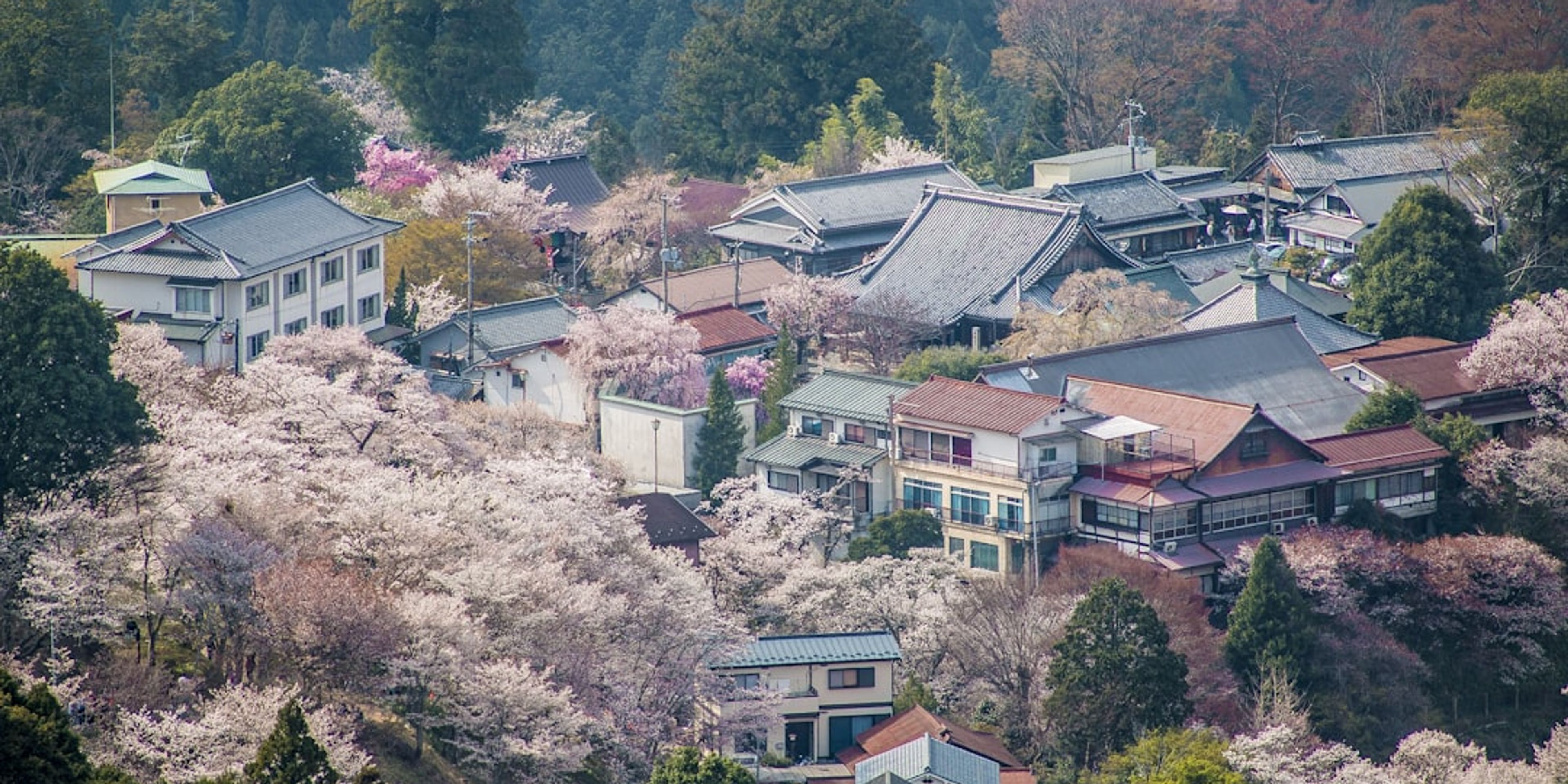 10 Best Things to Do in Nara