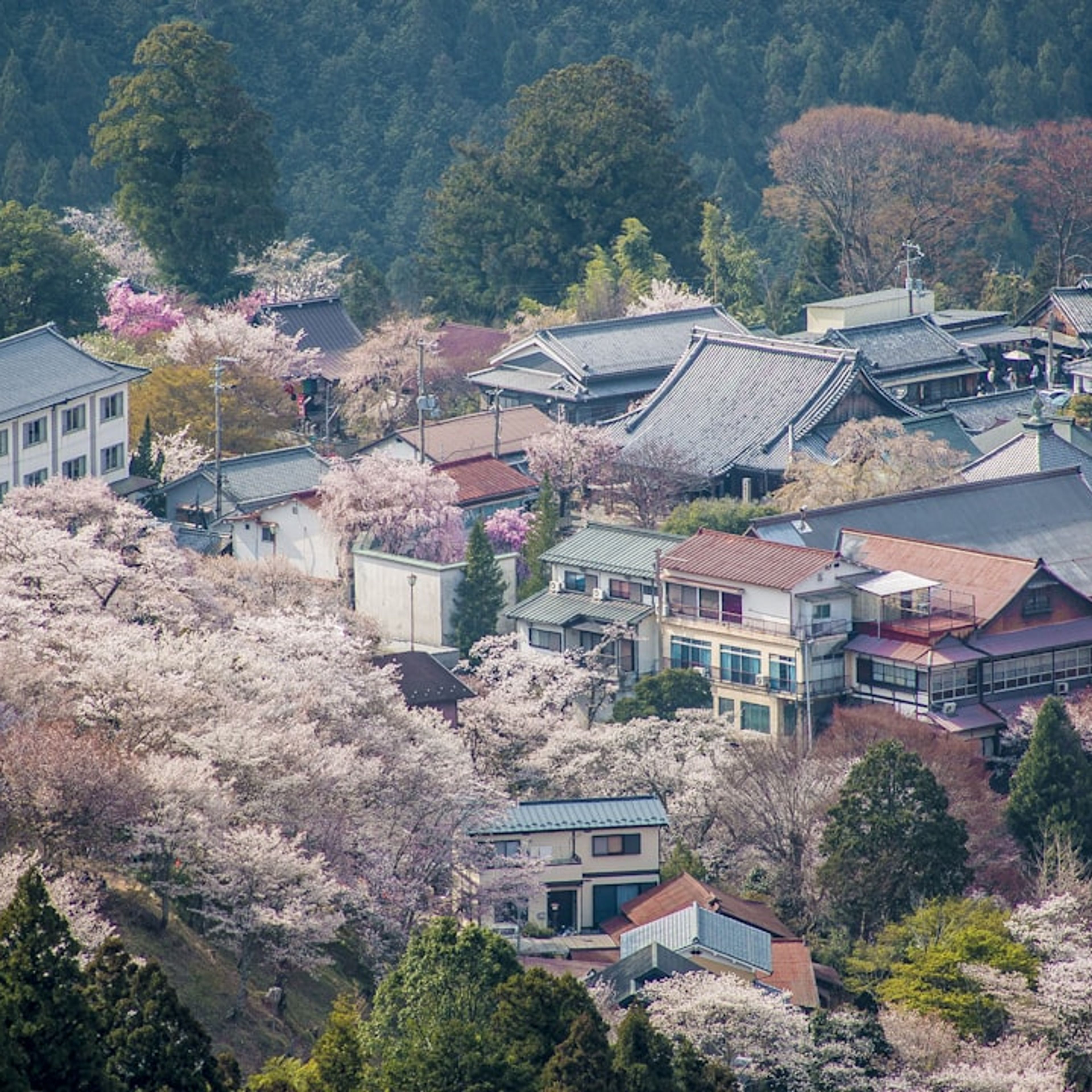 10 Best Things to Do in Nara