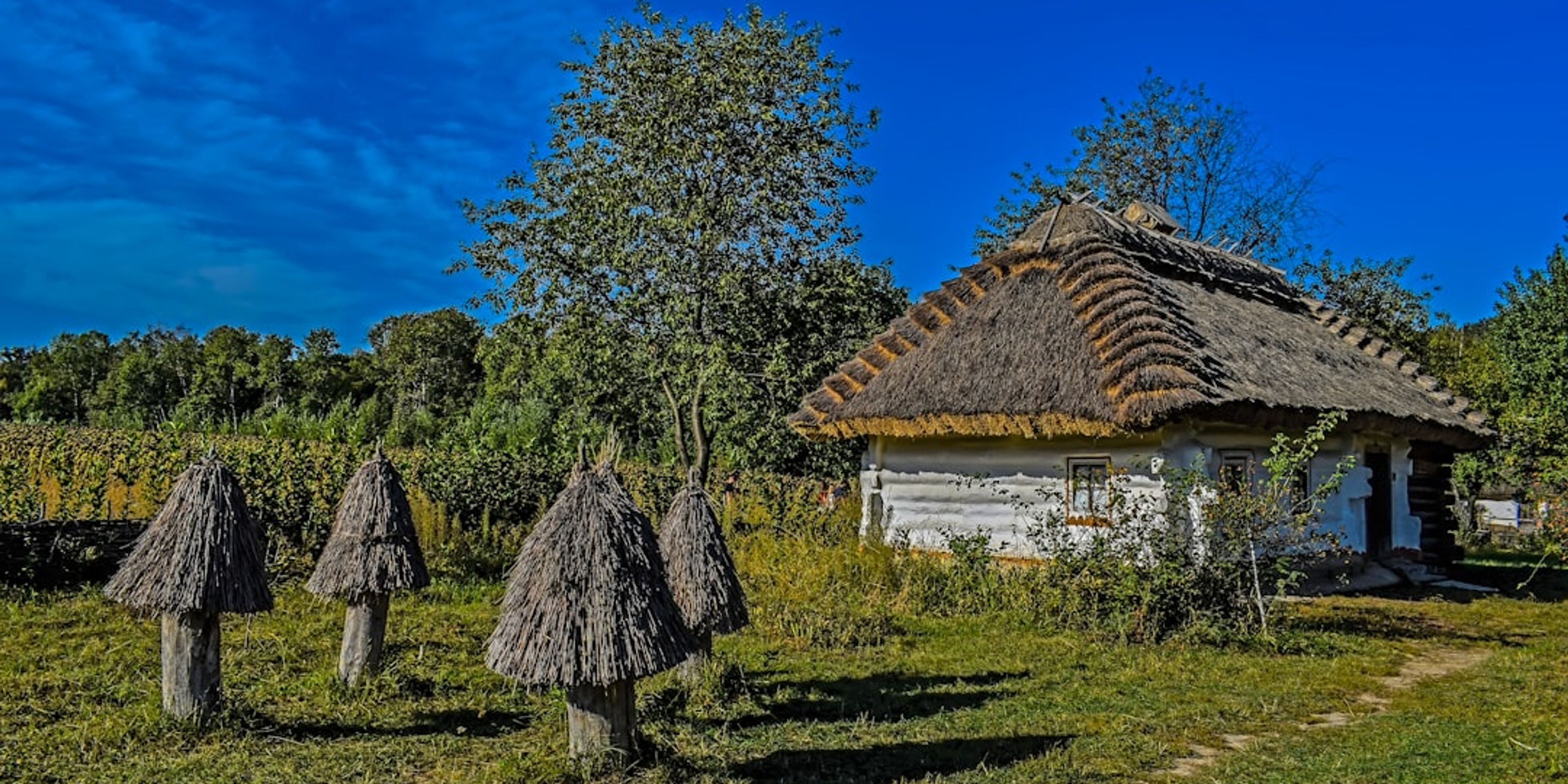 Hotels near Dimitrie Gusti Village Museum