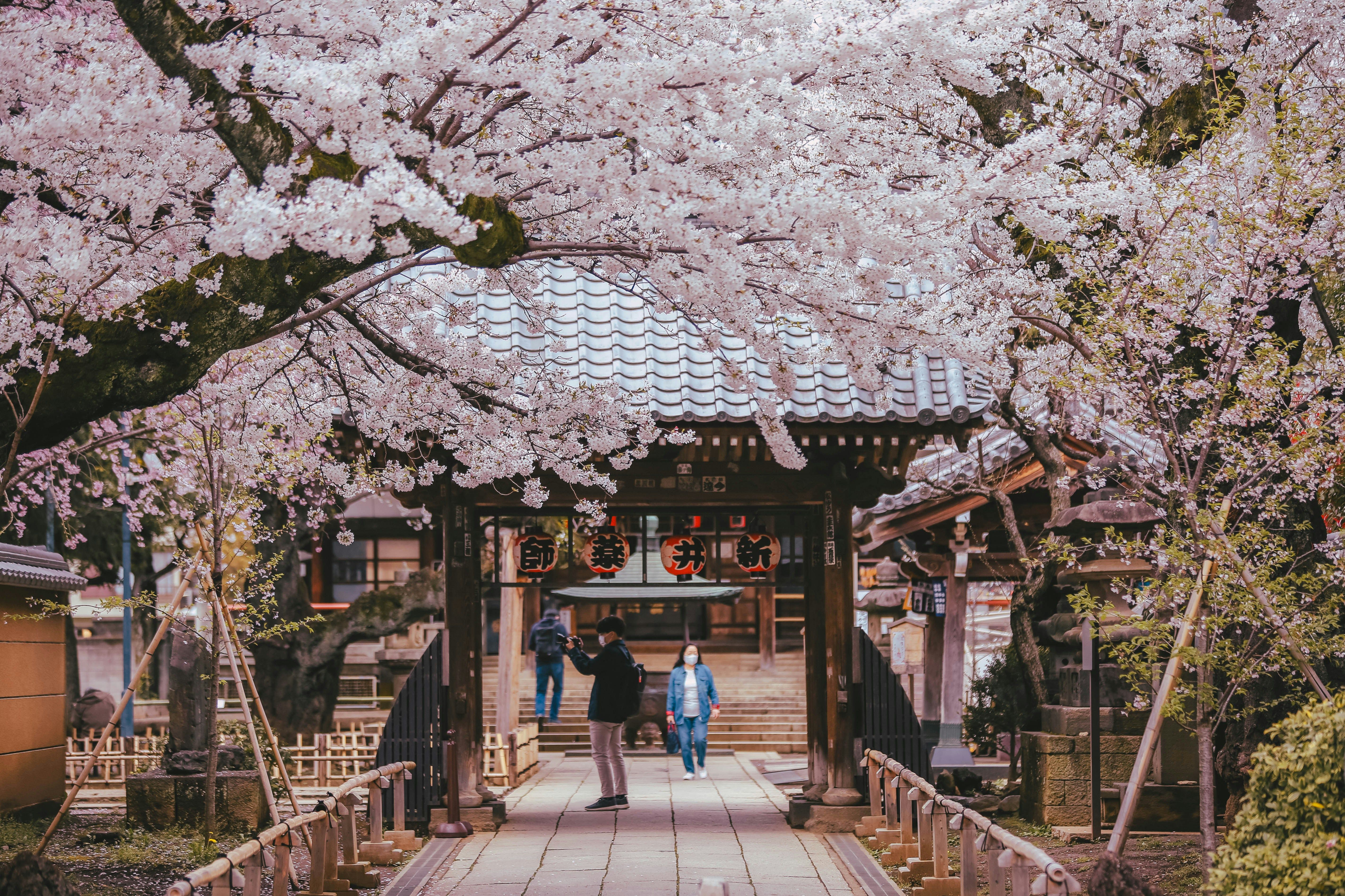 Hotels near Higashi Chaya District