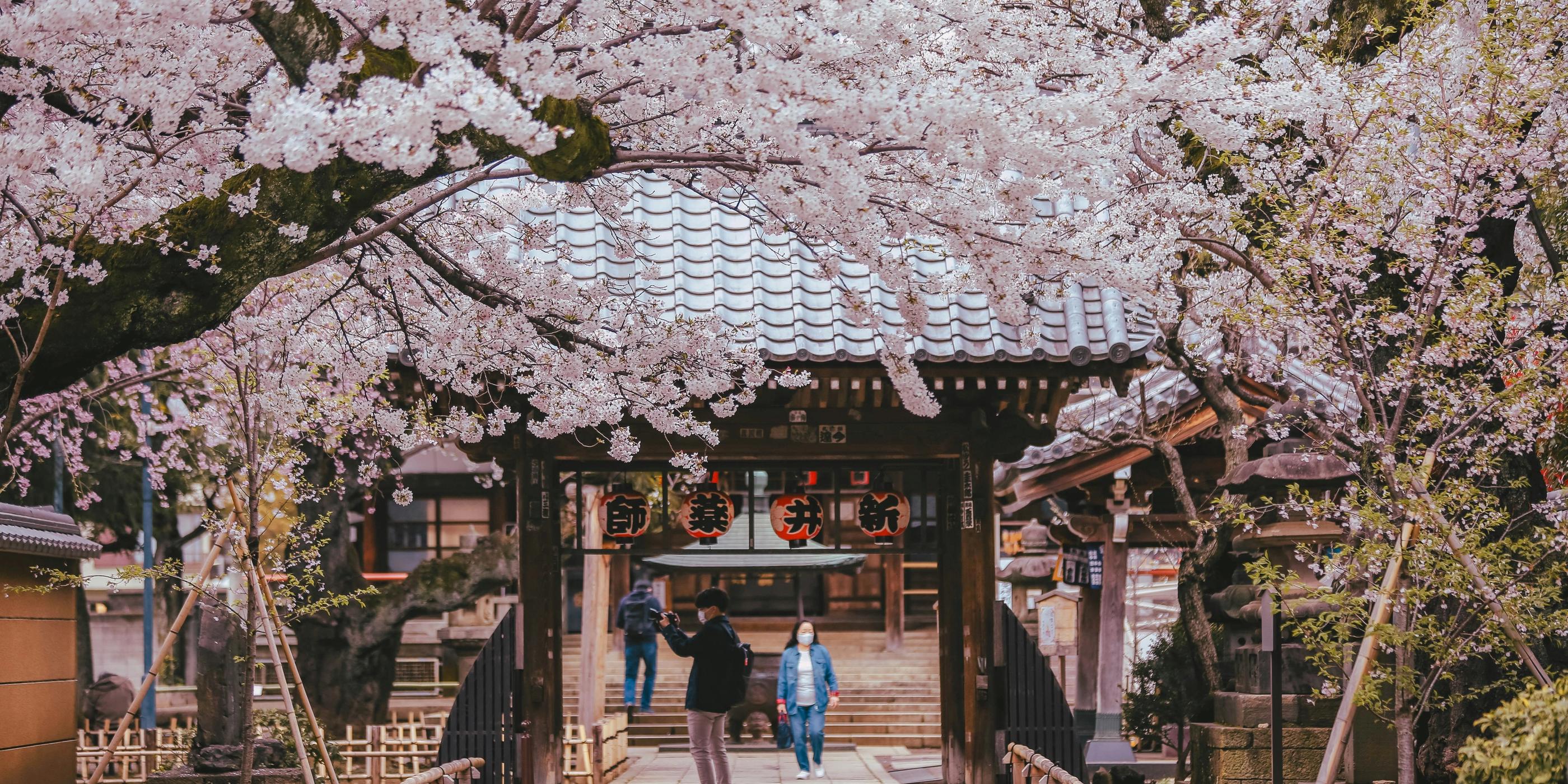 Hotels near Higashi Chaya District
