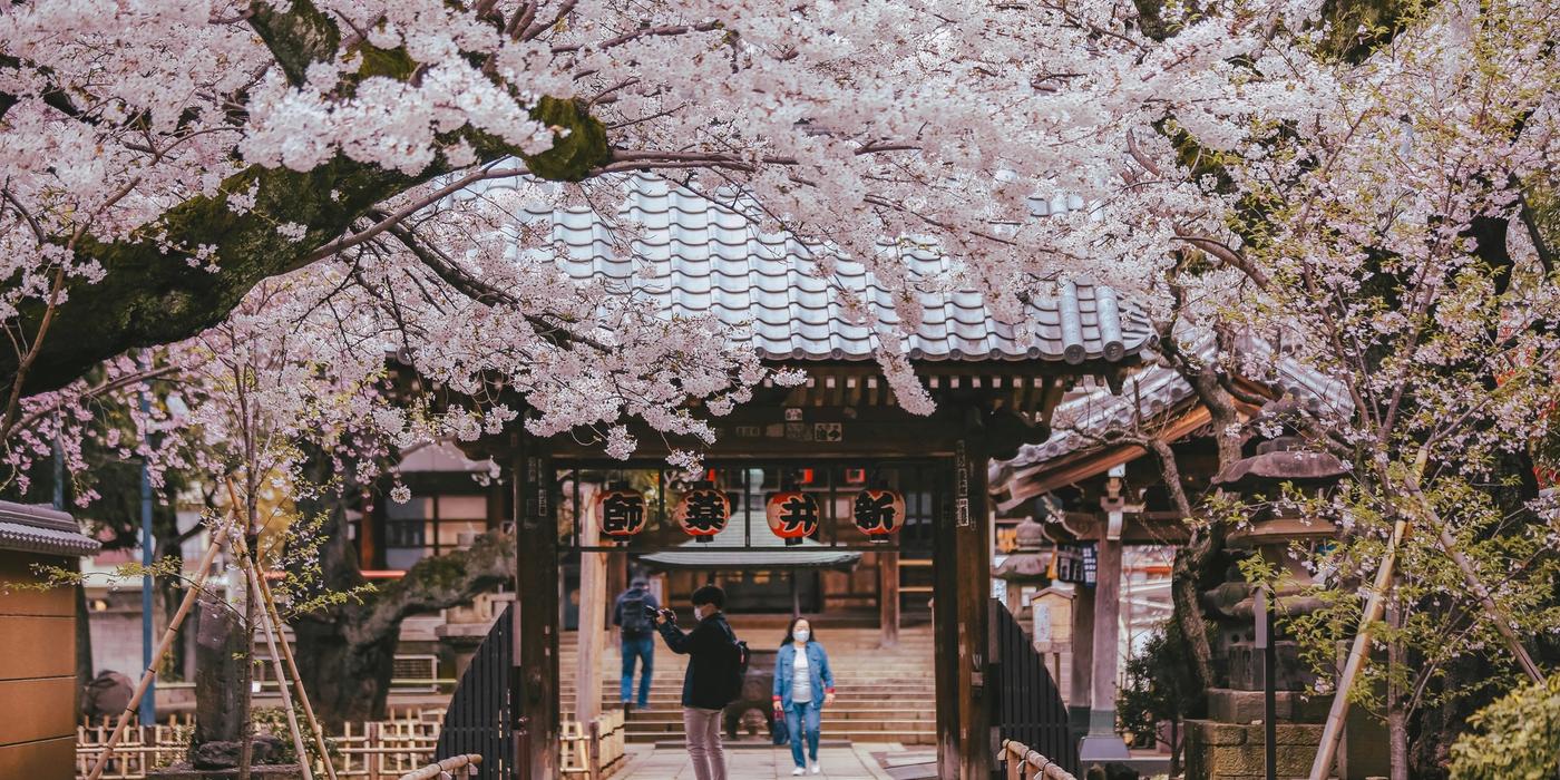 Hotels near Higashi Chaya District