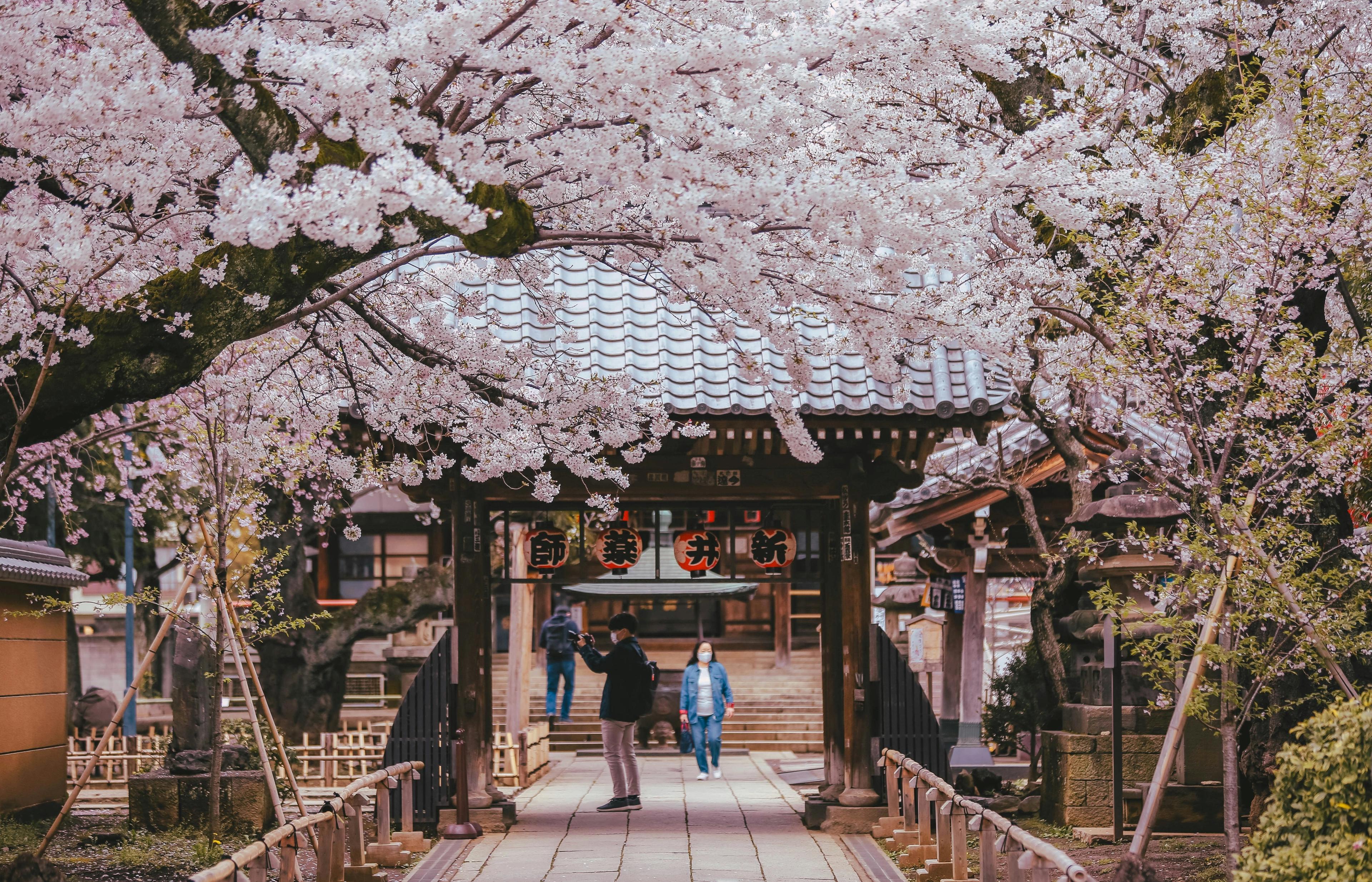 Higashi Chaya District - Japan's Best-Preserved Geisha Quarter