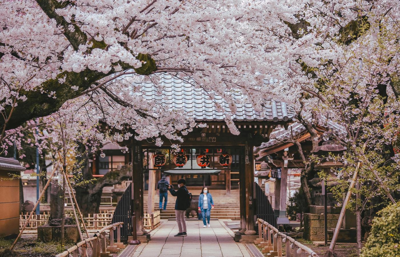 Higashi Chaya District - Japan's Best-Preserved Geisha Quarter