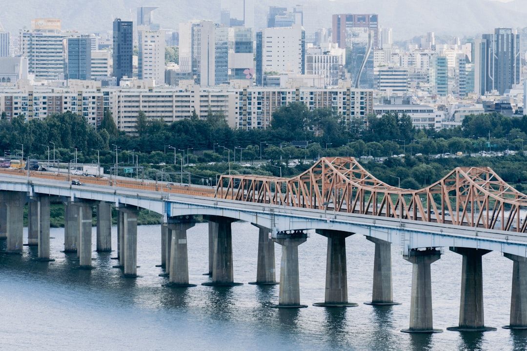 Dragon Bridge - The Fire-Breathing Crossing Over the Han River