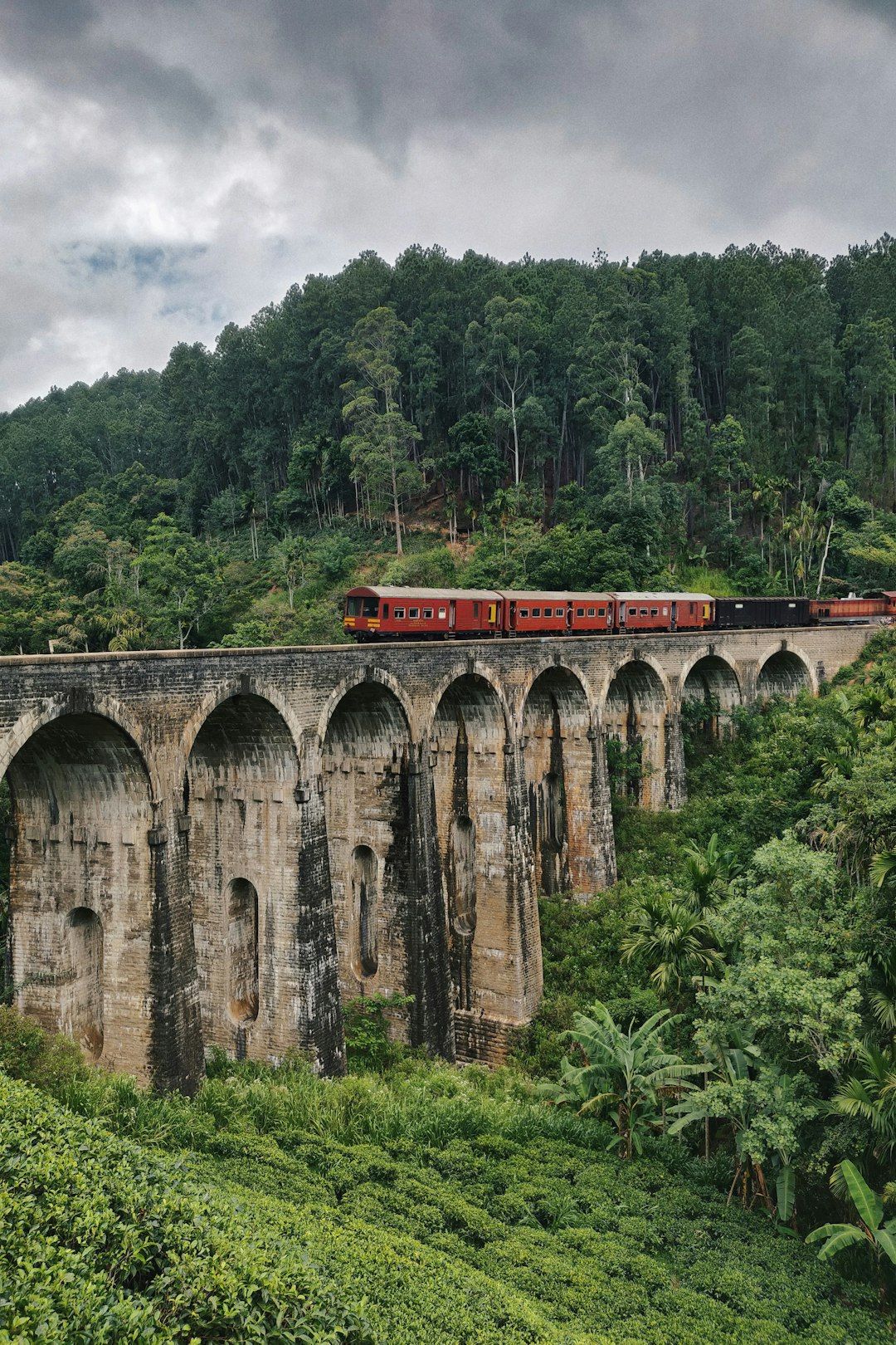 Sri Lanka Travel Guides