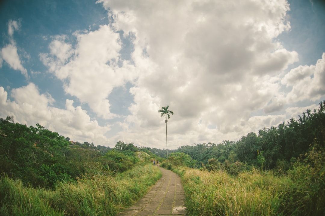 Campuhan Ridge Walk - Ubud's Favourite Sunrise Stroll