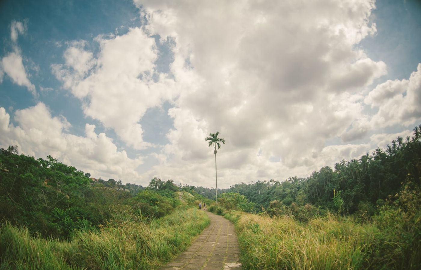 Campuhan Ridge Walk - Ubud's Favourite Sunrise Stroll