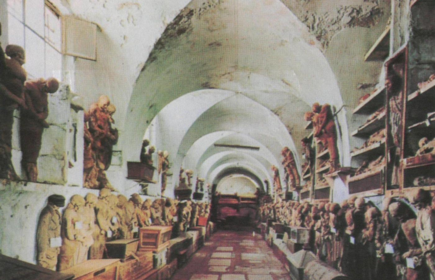 Capuchin Catacombs - Palermo's Mummified Dead