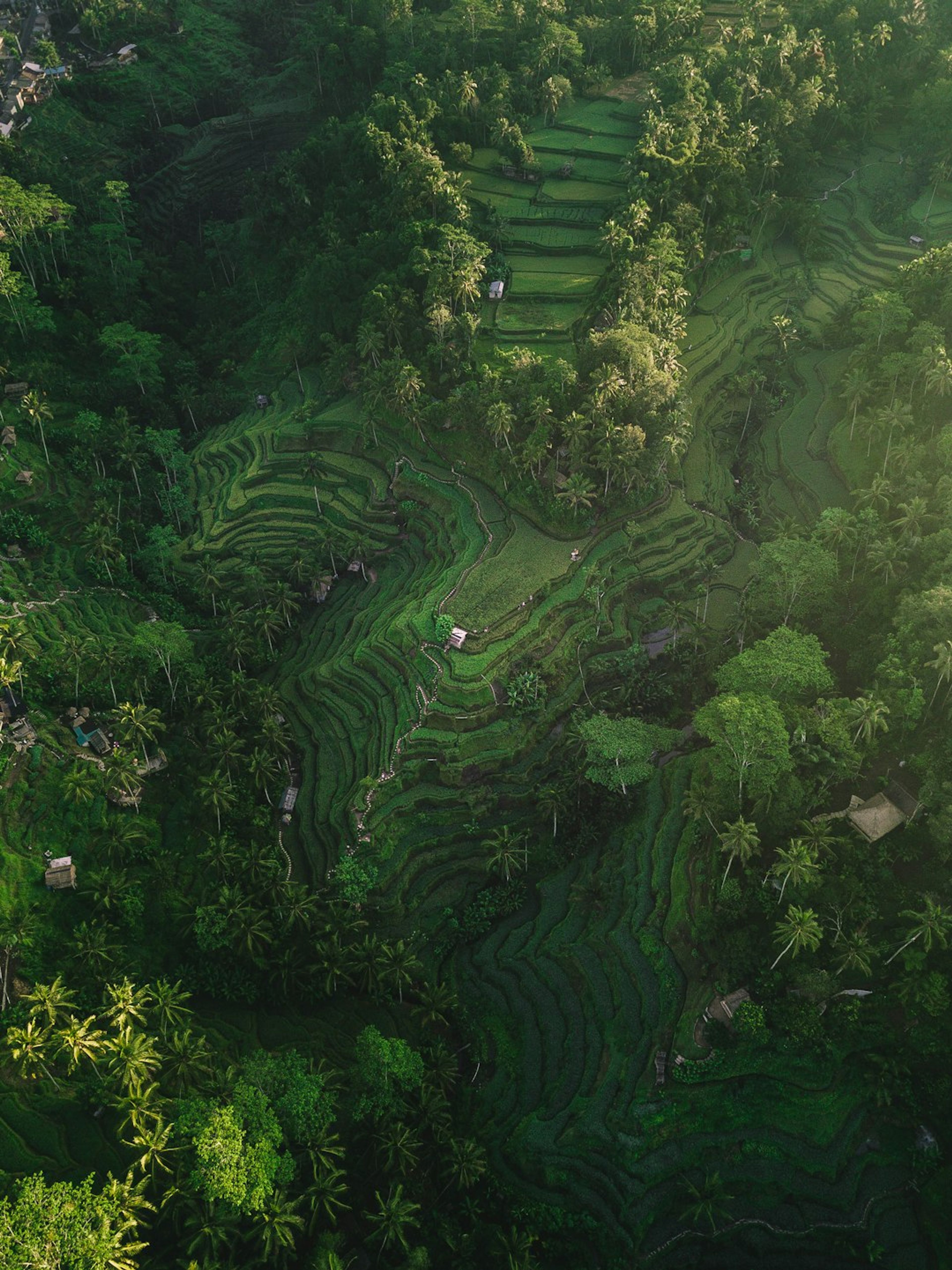 Ubud
