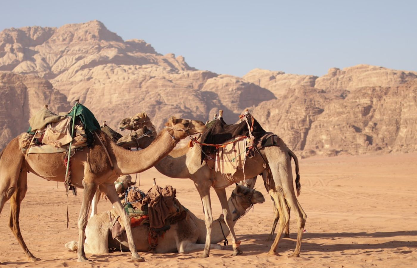 Eastern Desert Safari - Quad Bikes, Camels & Bedouin Camps