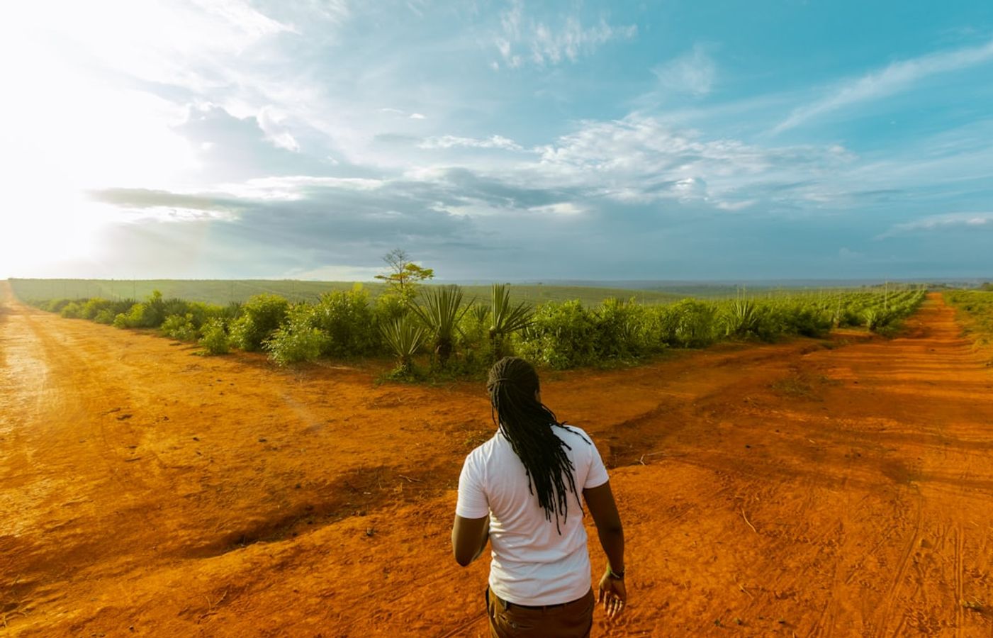Zanzibar Spice Tour - The Plantation Walk