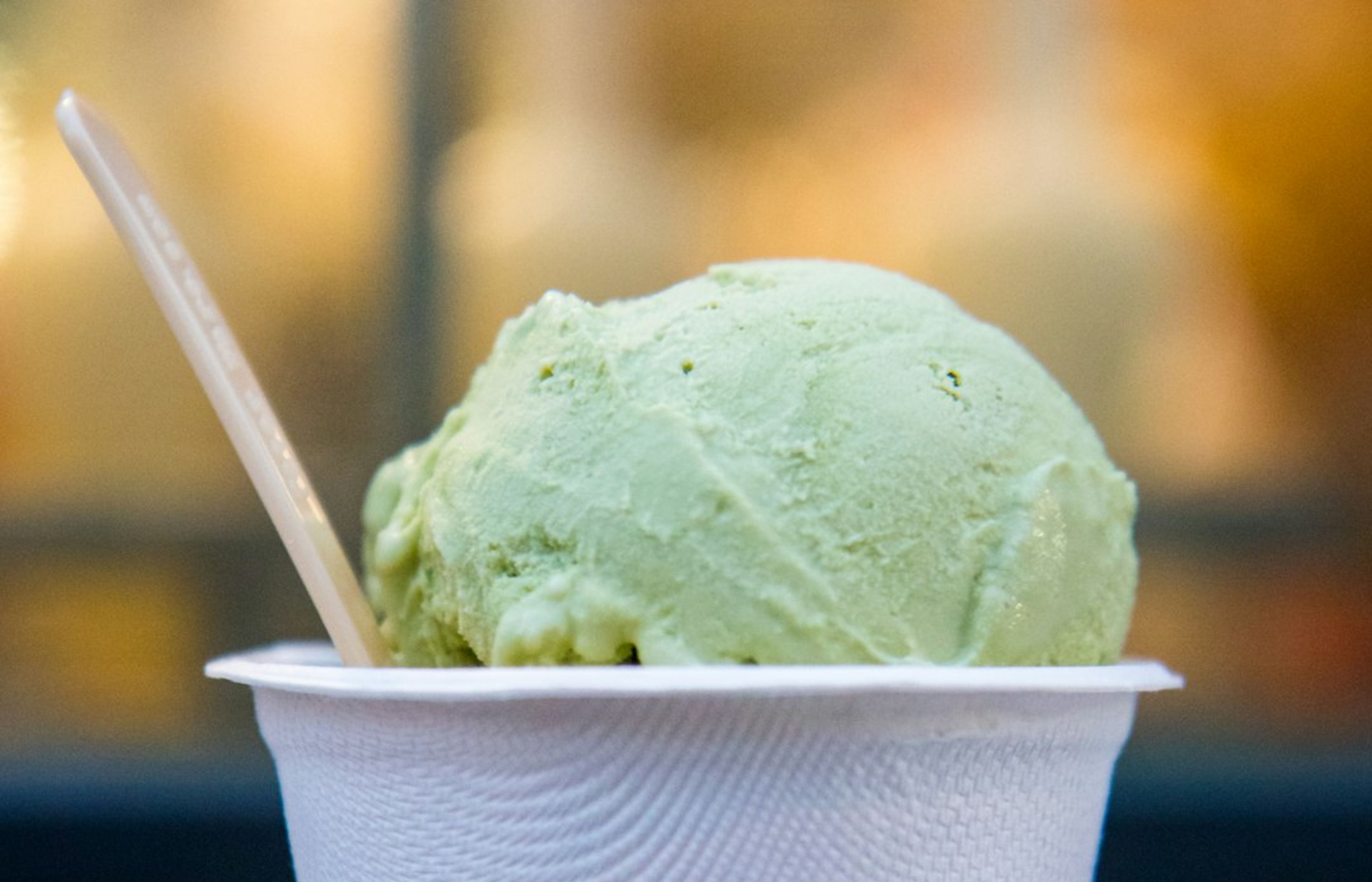 Otaleg - Trastevere's Seasonal, Dairy-Free Sorbet Specialist