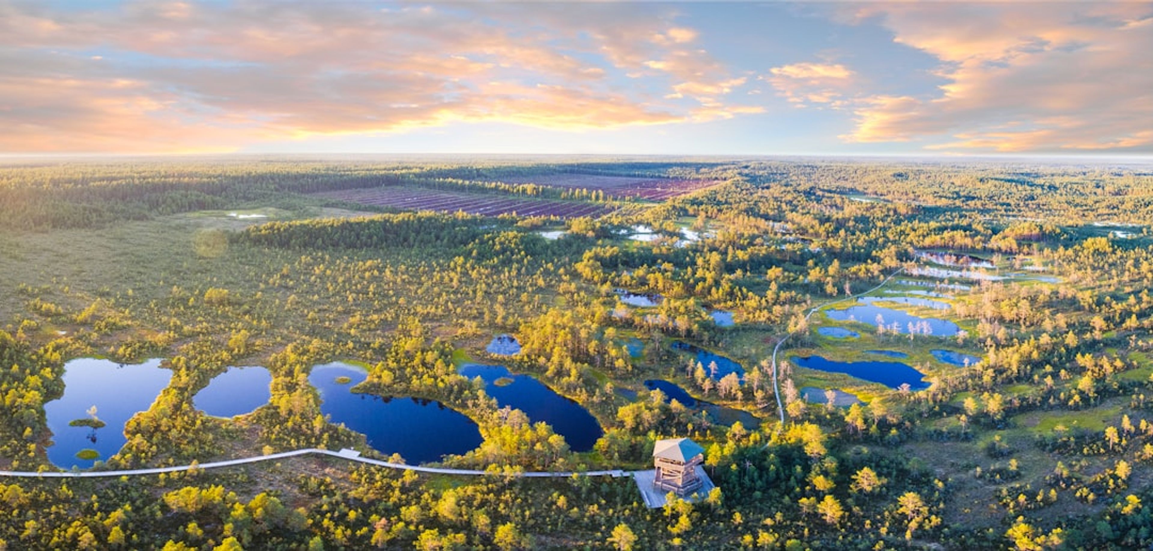 Estonia