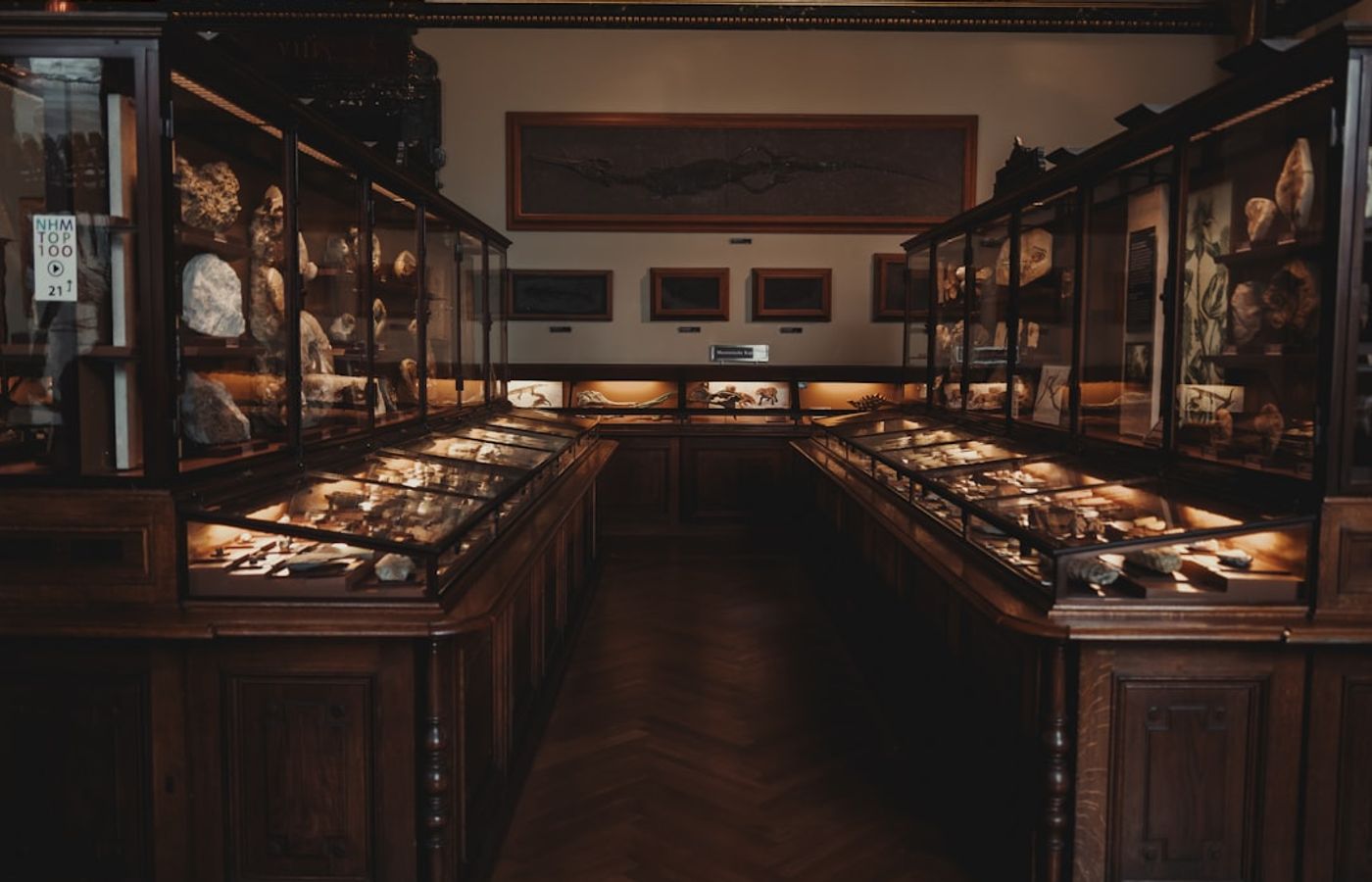 Kunsthistorisches Museum - Austria's Greatest Art Collection