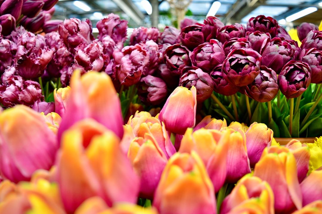 Bloemenmarkt - The World's Only Floating Flower Market