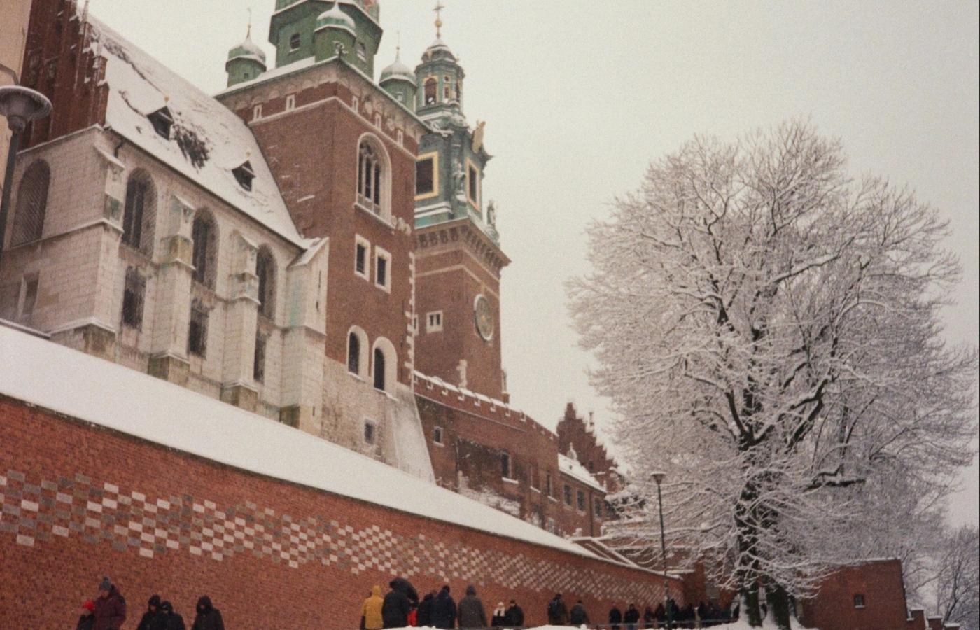 Wawel Hill - Castle and Cathedral Views