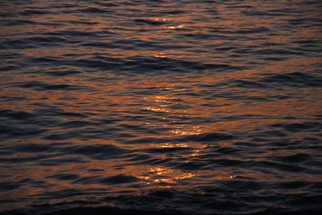 Sun Salutation - The Light Show by the Sea