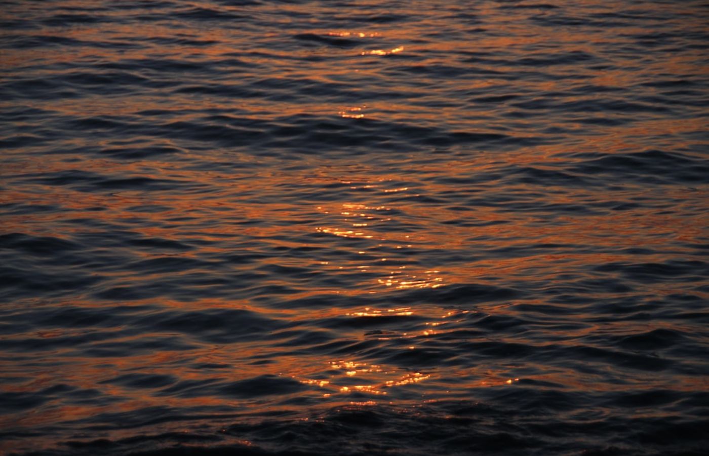 Sun Salutation - The Light Show by the Sea