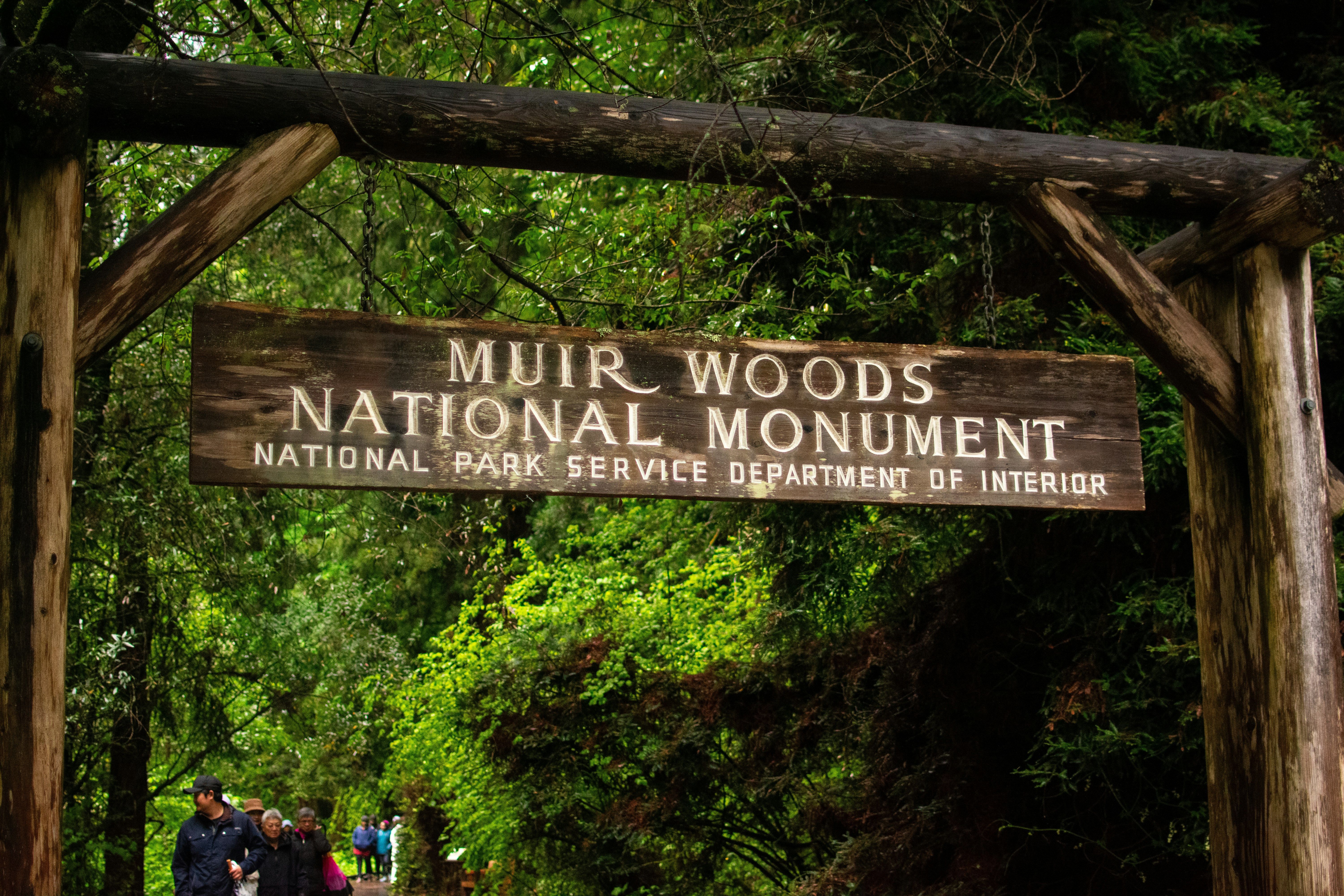 Muir Woods - Ancient Redwoods Across the Bridge