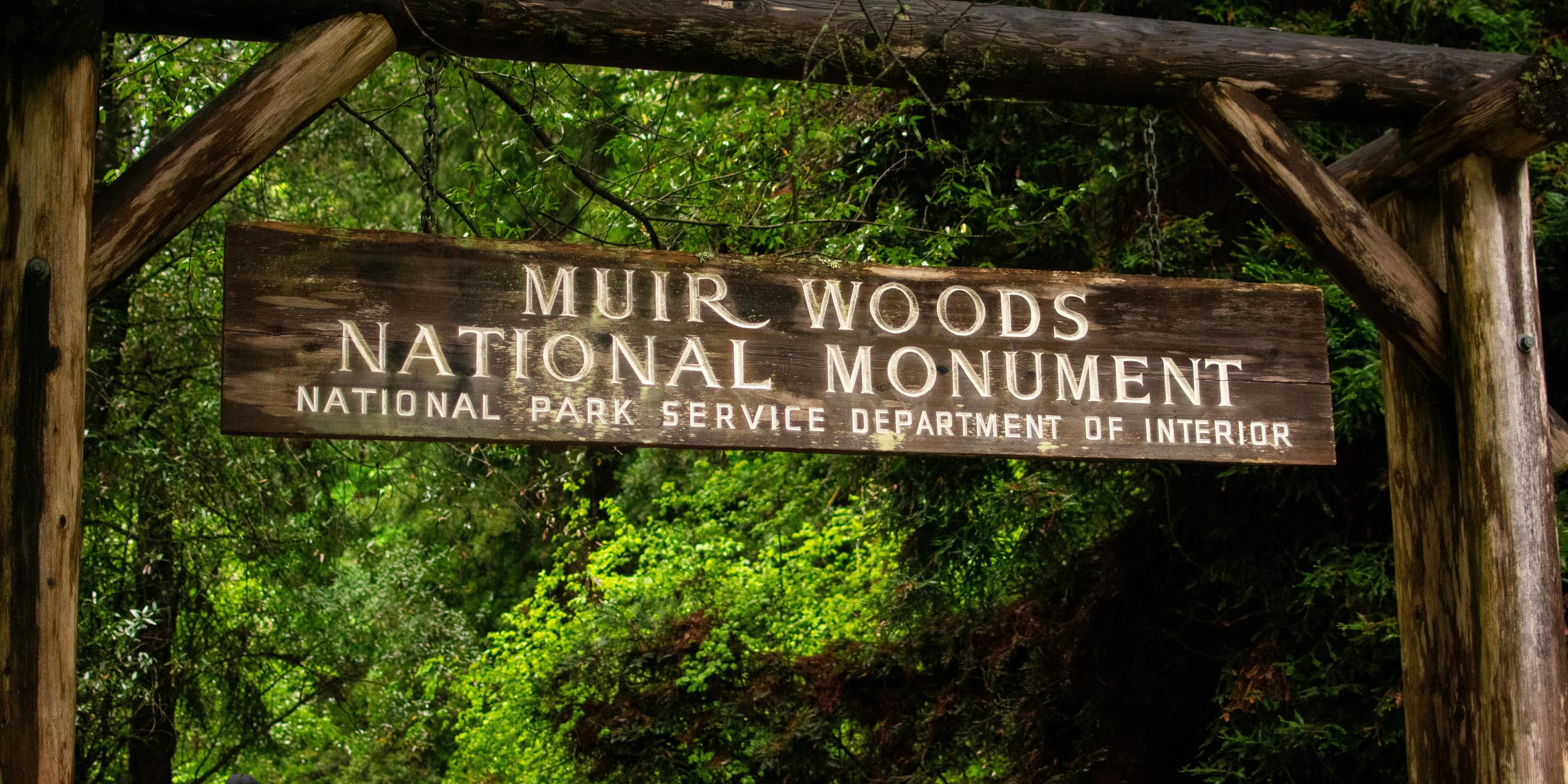 Hotels near Muir Woods