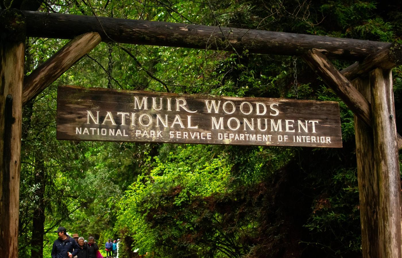 Muir Woods - Ancient Redwoods Across the Bridge