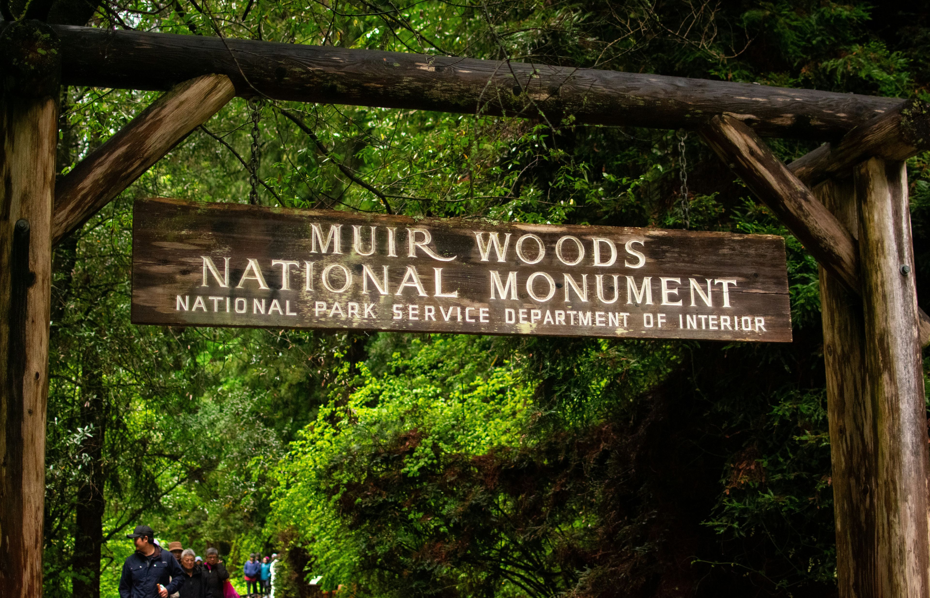 Muir Woods - Ancient Redwoods Across the Bridge