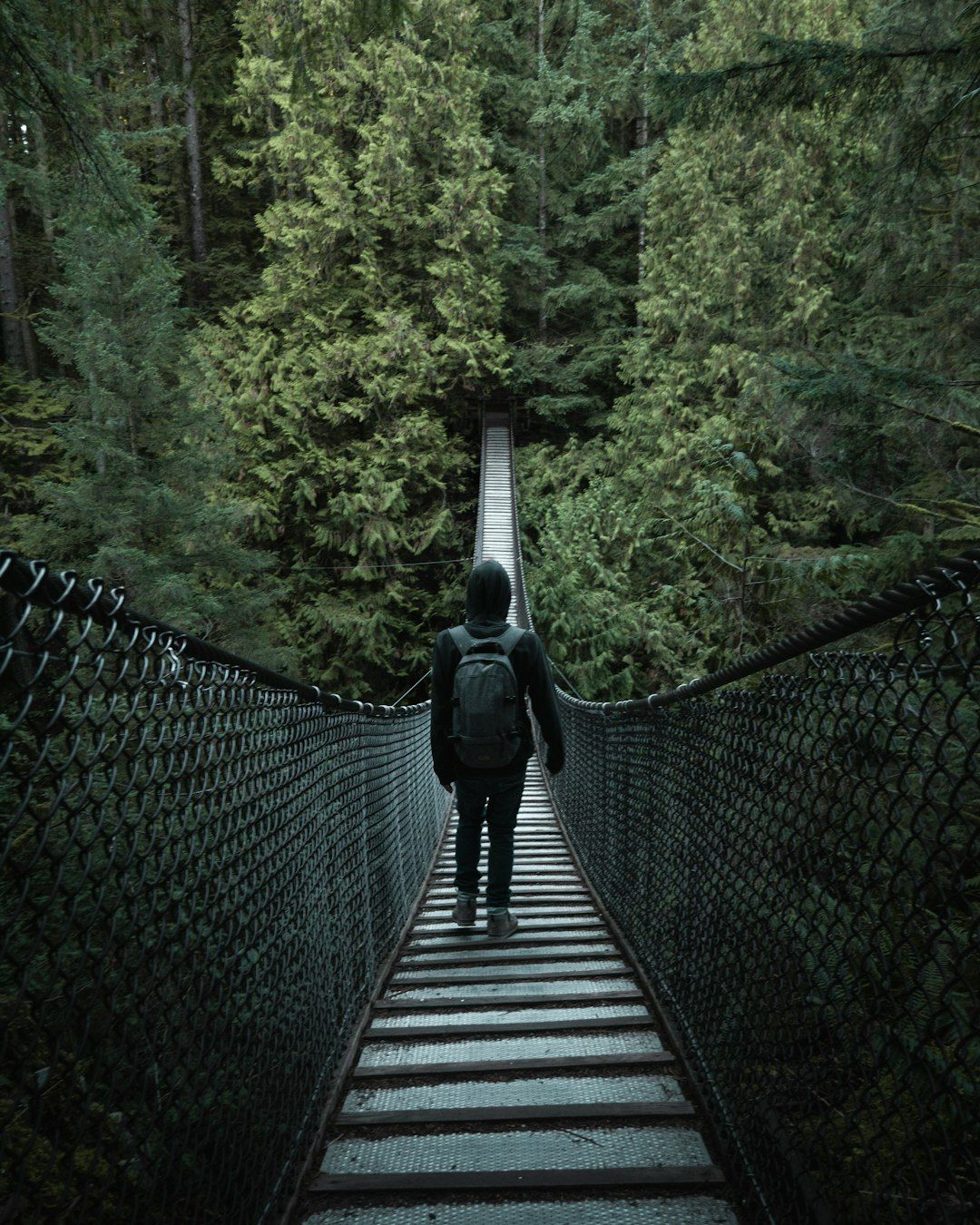 Lynn Canyon Park - Free Suspension Bridge and Swimming Holes