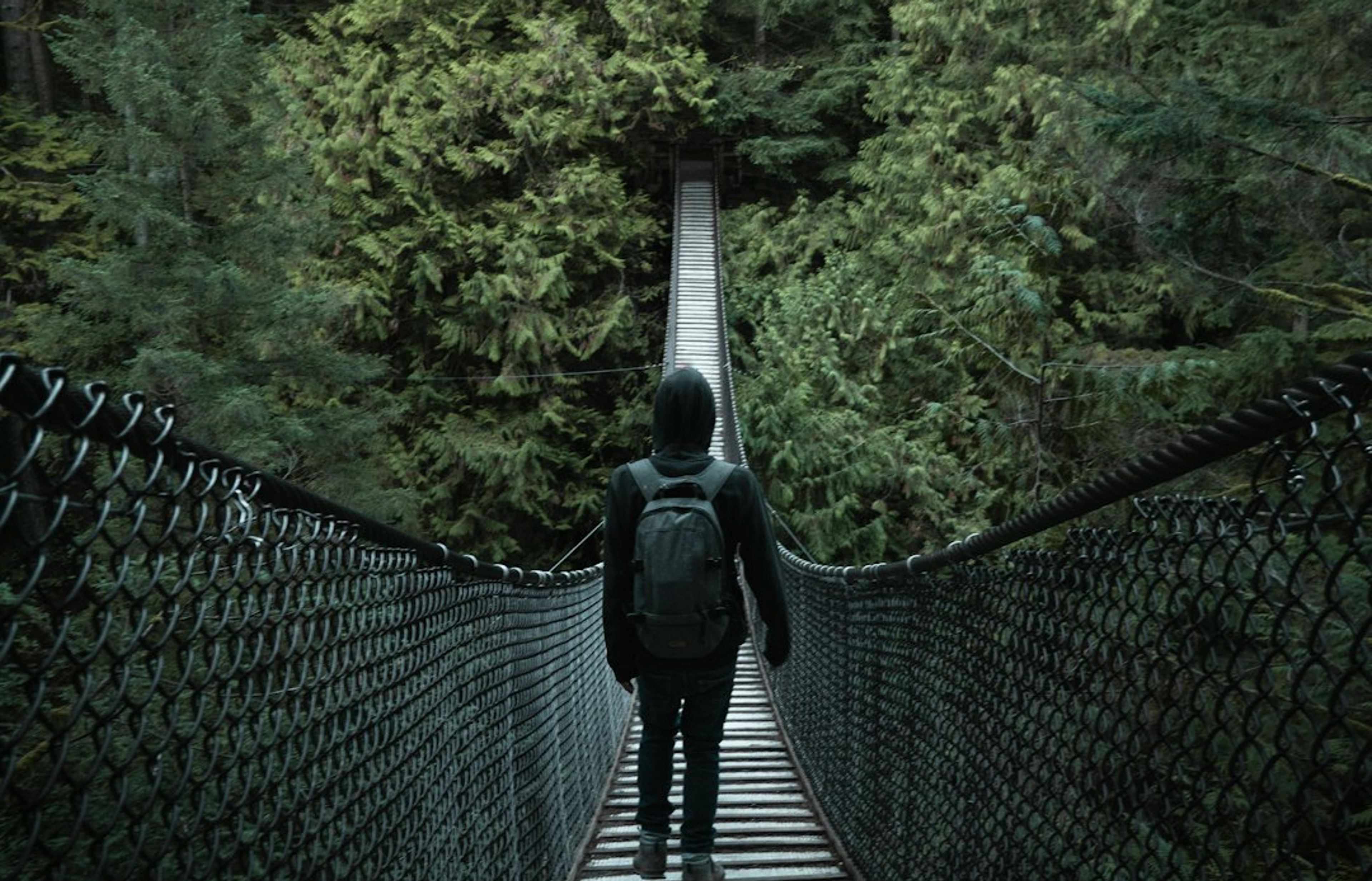 Lynn Canyon Park - Free Suspension Bridge and Swimming Holes