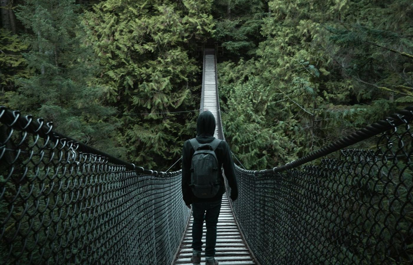 Lynn Canyon Park - Free Suspension Bridge and Swimming Holes
