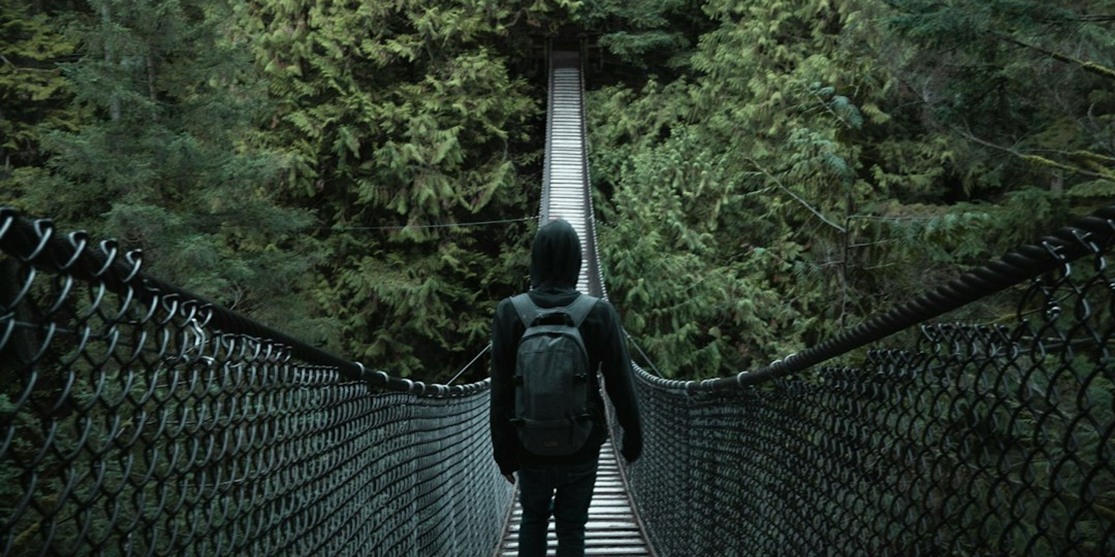 Hotels near Lynn Canyon Park