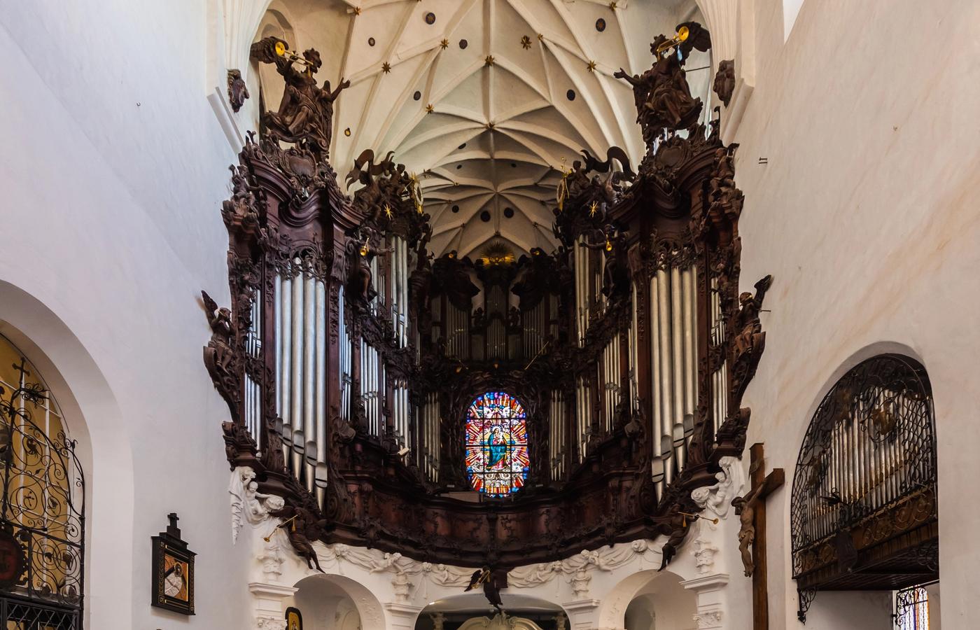 Oliwa Cathedral and Park - Baroque Organ Concerts Under Ancient Trees