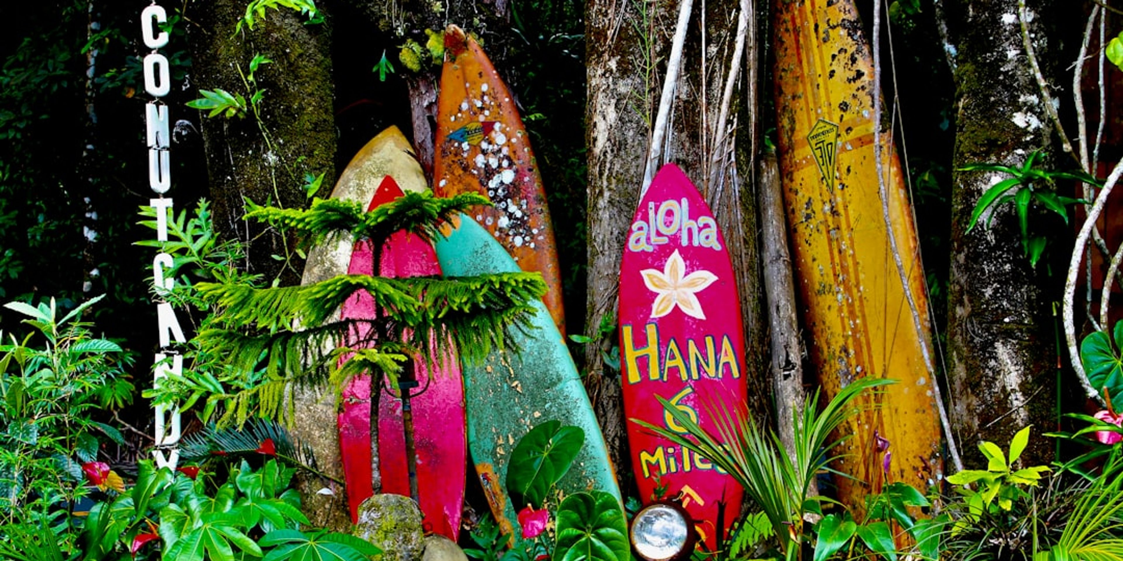10 Top Things to Do in Maui
