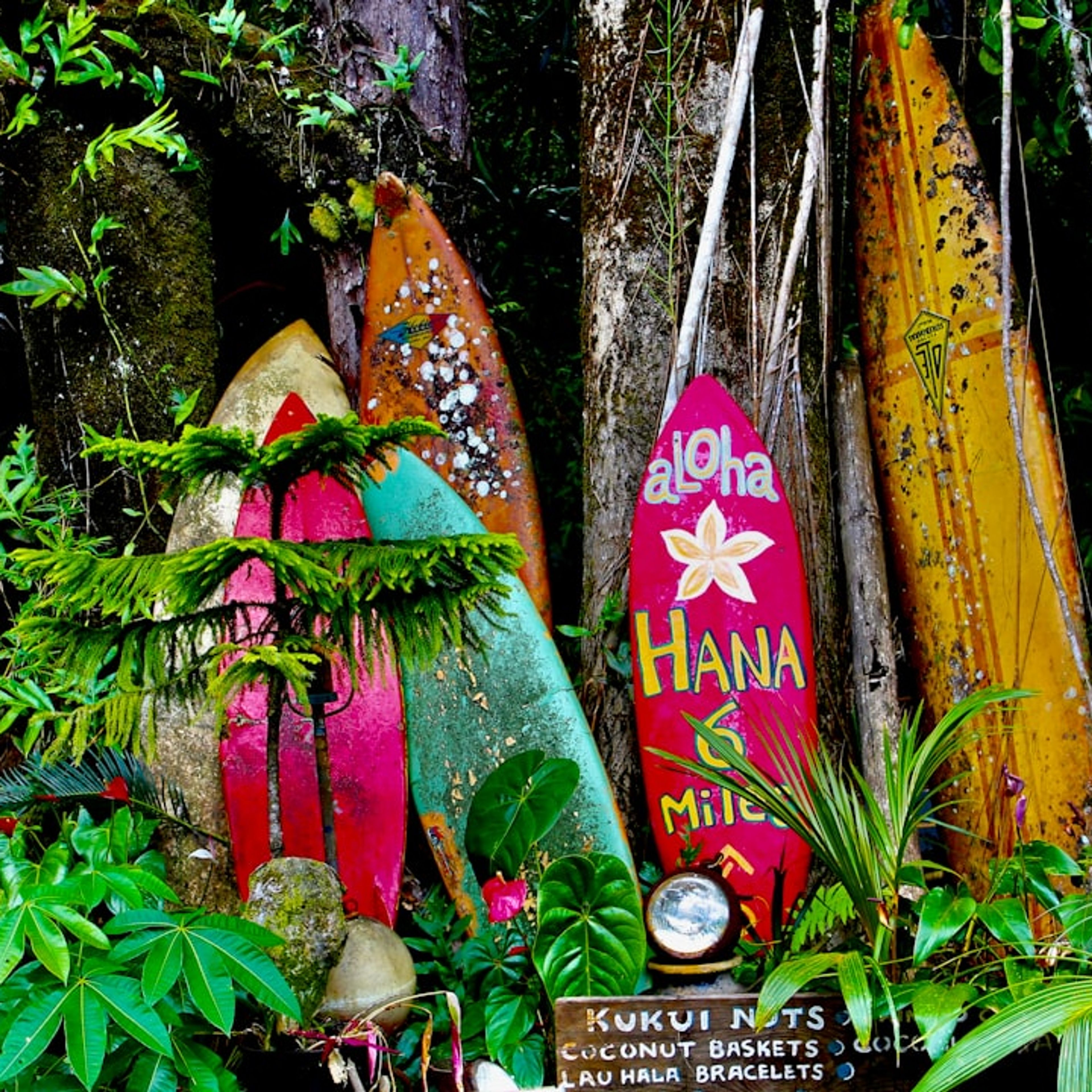 10 Top Things to Do in Maui