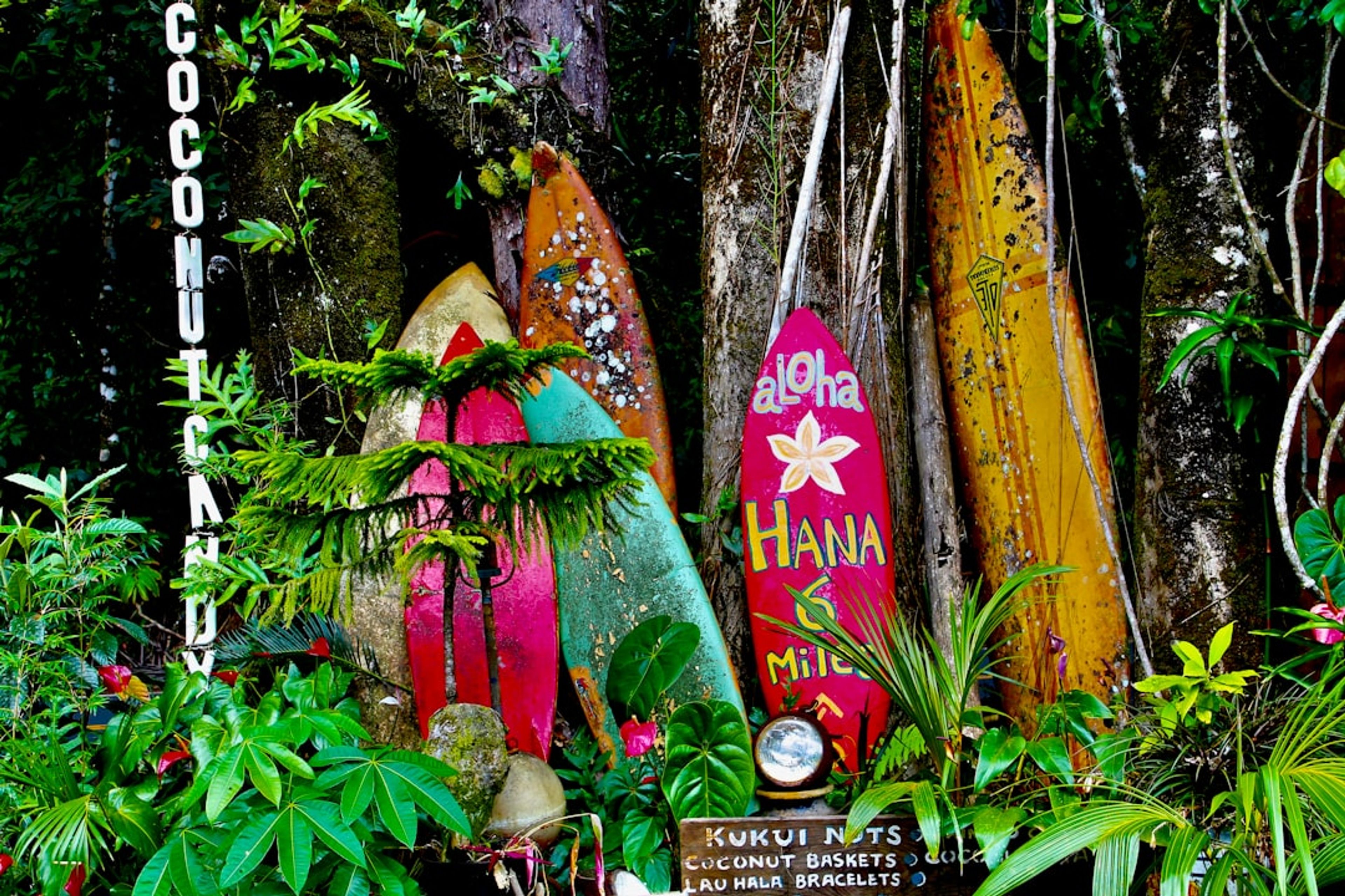 10 Top Things to Do in Maui