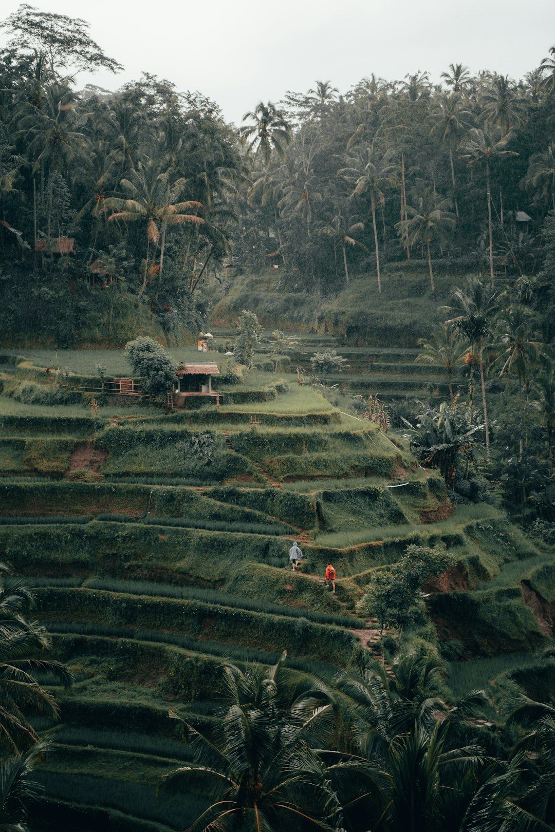 5 Best Hikes Near Ubud