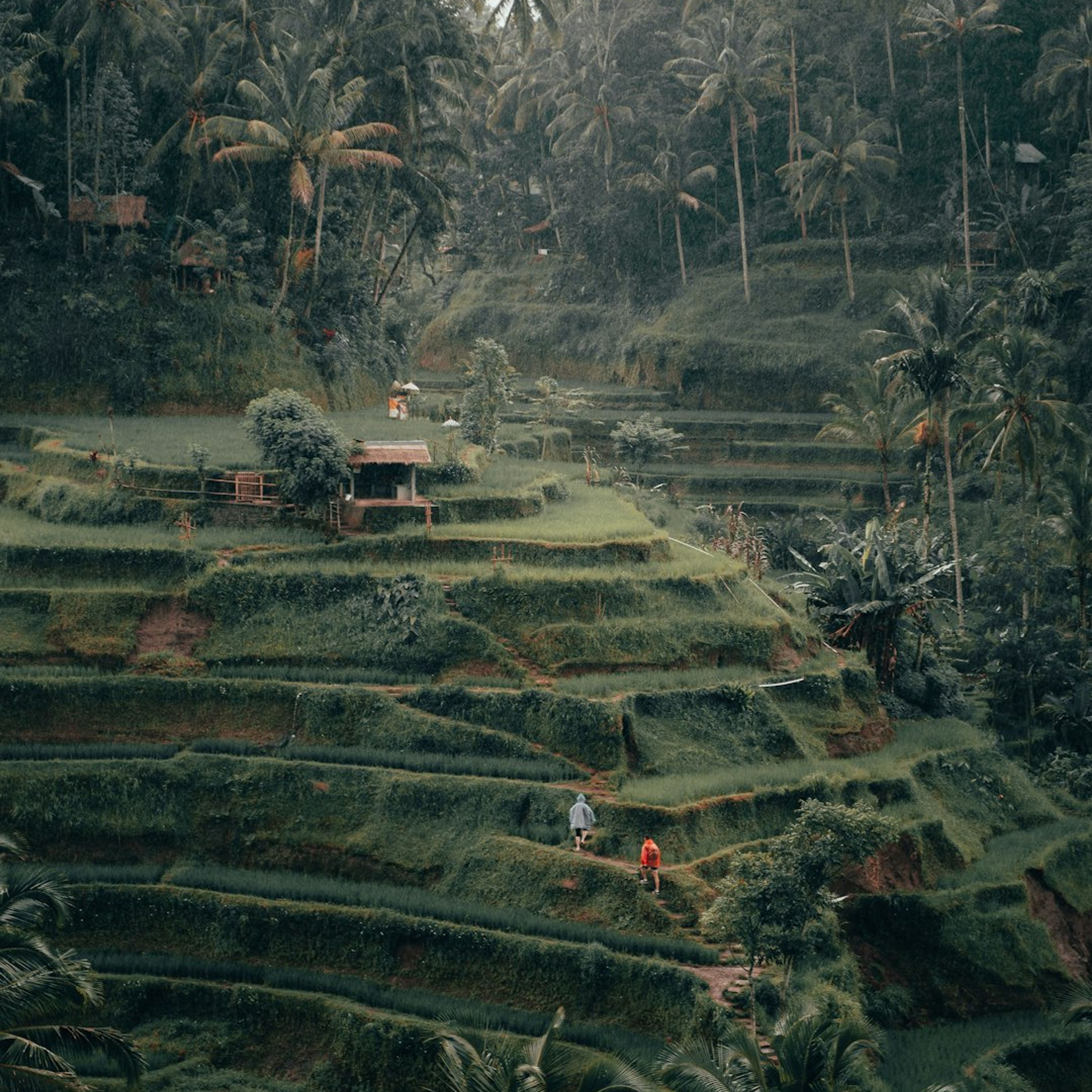 5 Best Hikes Near Ubud
