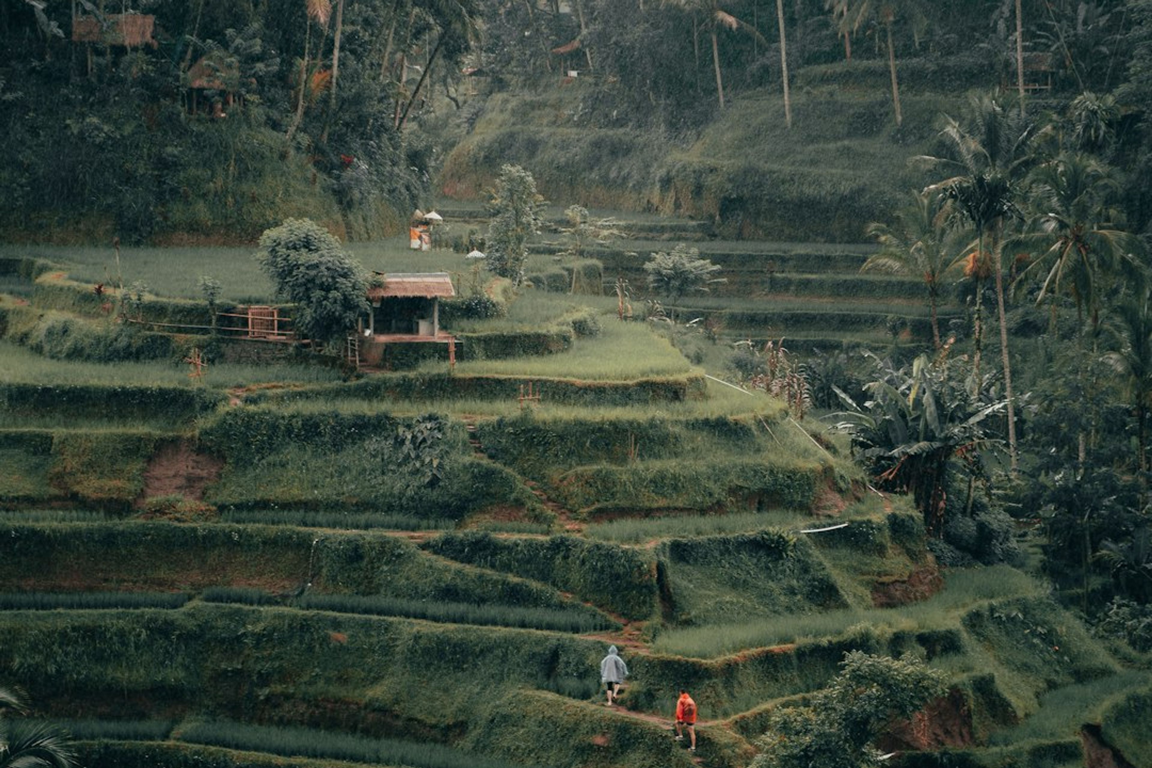 5 Best Hikes Near Ubud