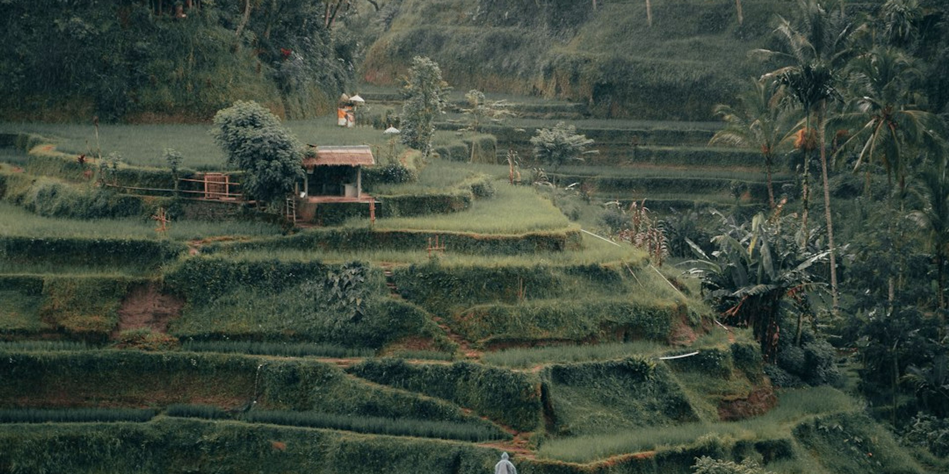 5 Best Hikes Near Ubud