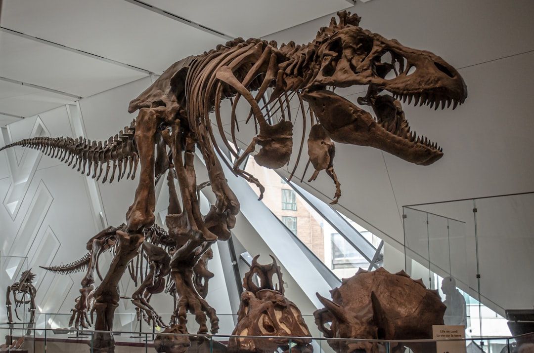 Royal Ontario Museum (ROM) - Canada's Largest Museum