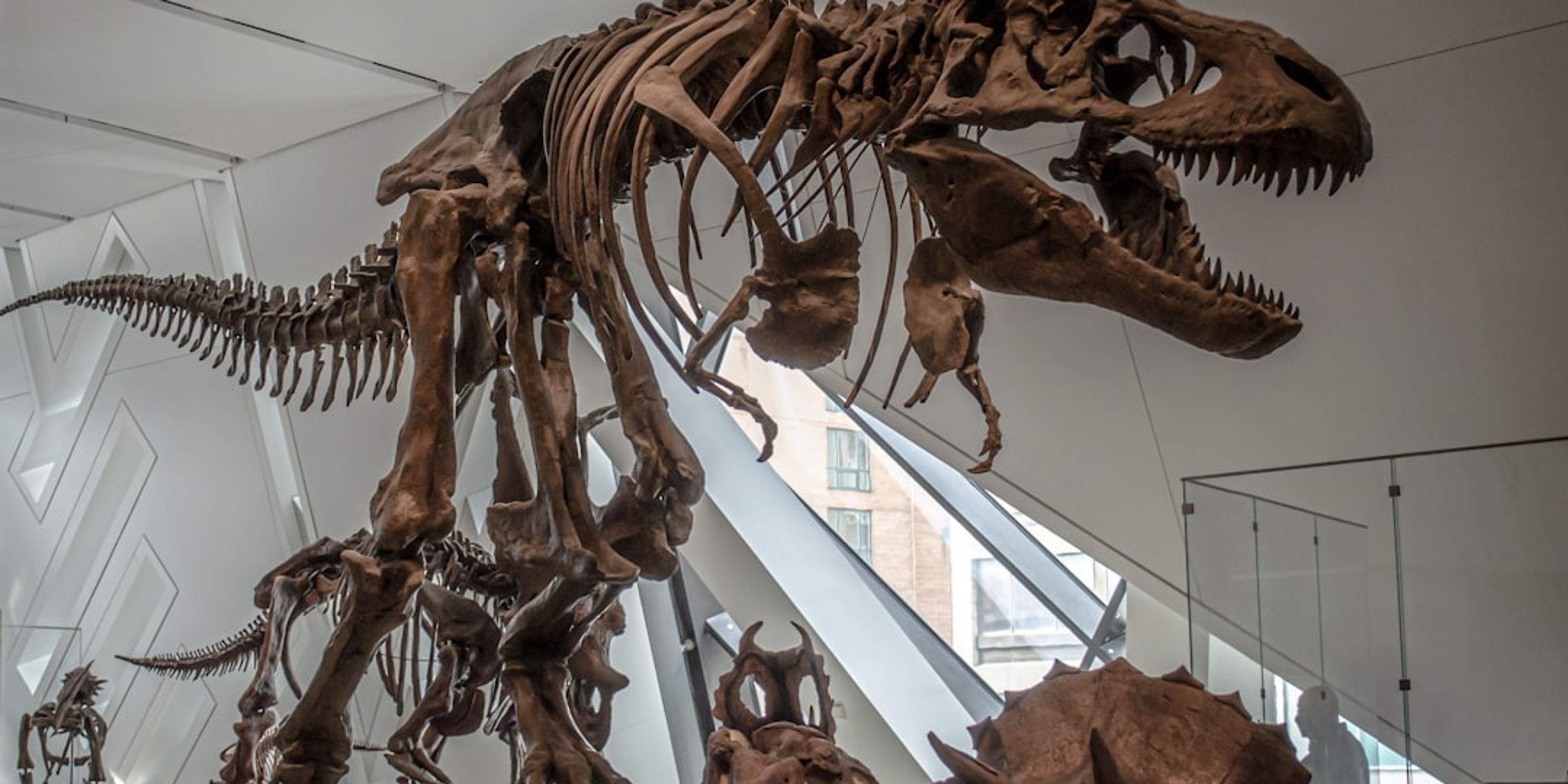 Hotels near Royal Ontario Museum (ROM)