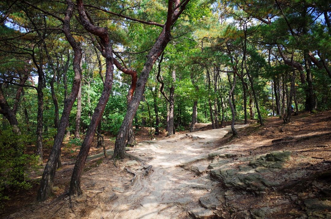 Achasan - The Sunrise Hike You Can Finish Before Breakfast