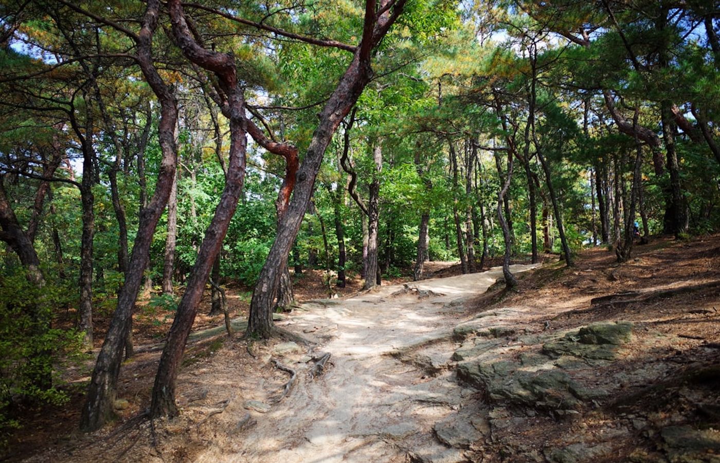 Achasan - The Sunrise Hike You Can Finish Before Breakfast