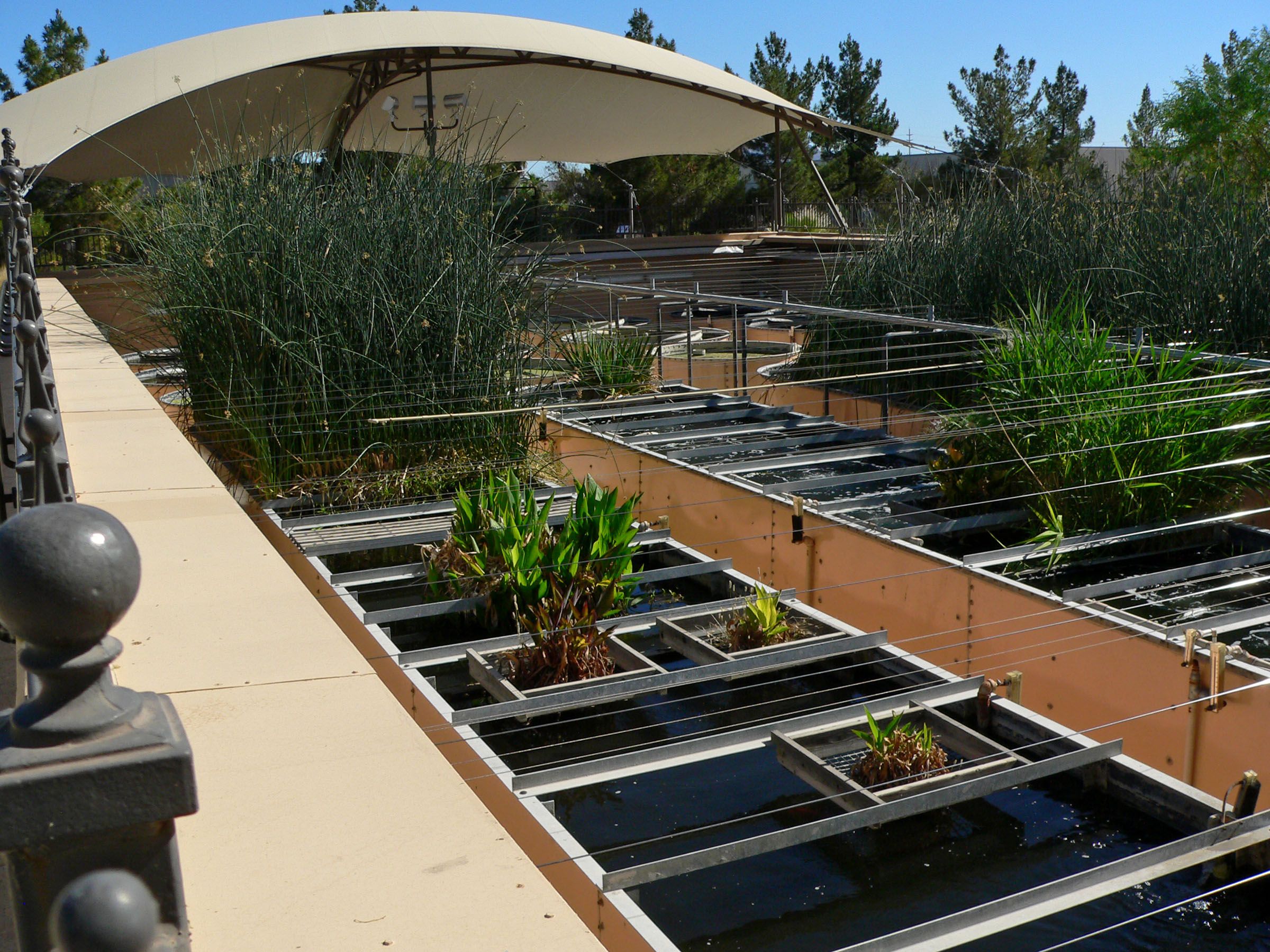 Ethel M Chocolate Factory and Cactus Garden - A Free Desert Garden in Henderson