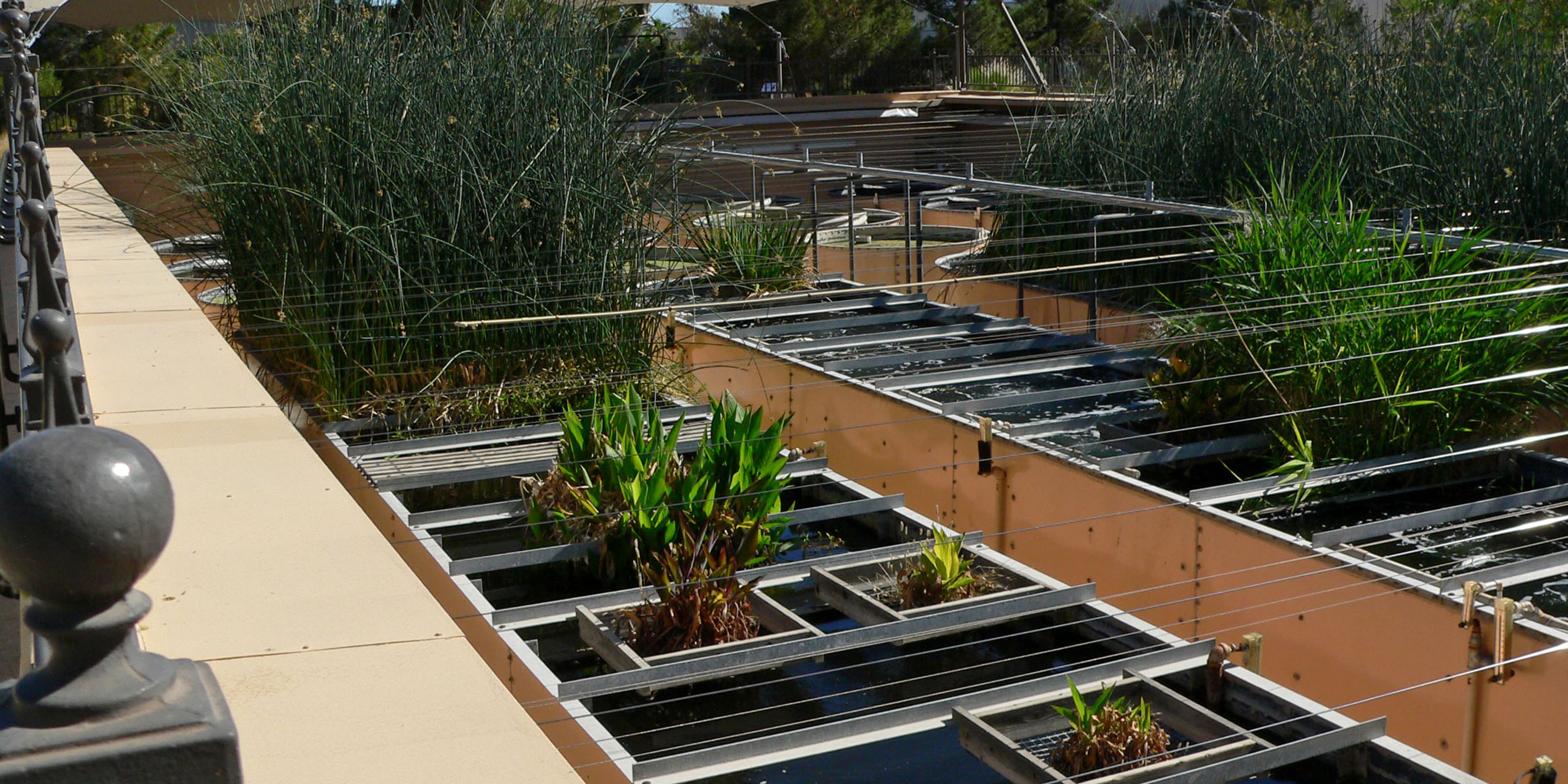 Hotels near Ethel M Chocolate Factory and Cactus Garden