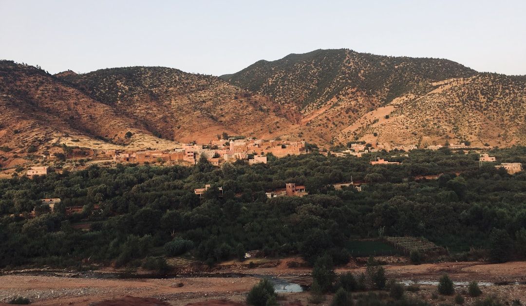 Menara Gardens - A Peaceful Olive Grove with Atlas Mountain Views