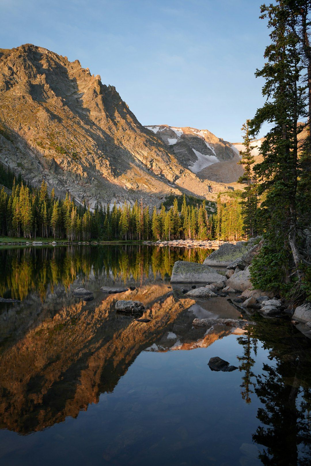 Rocky Mountain National Park - Elk Rut and Golden Aspens