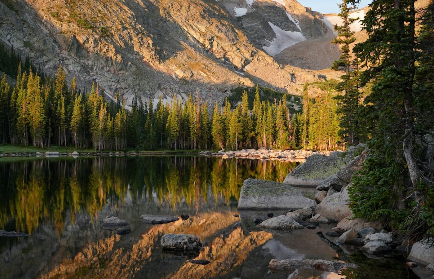 Rocky Mountain National Park - Elk Rut and Golden Aspens
