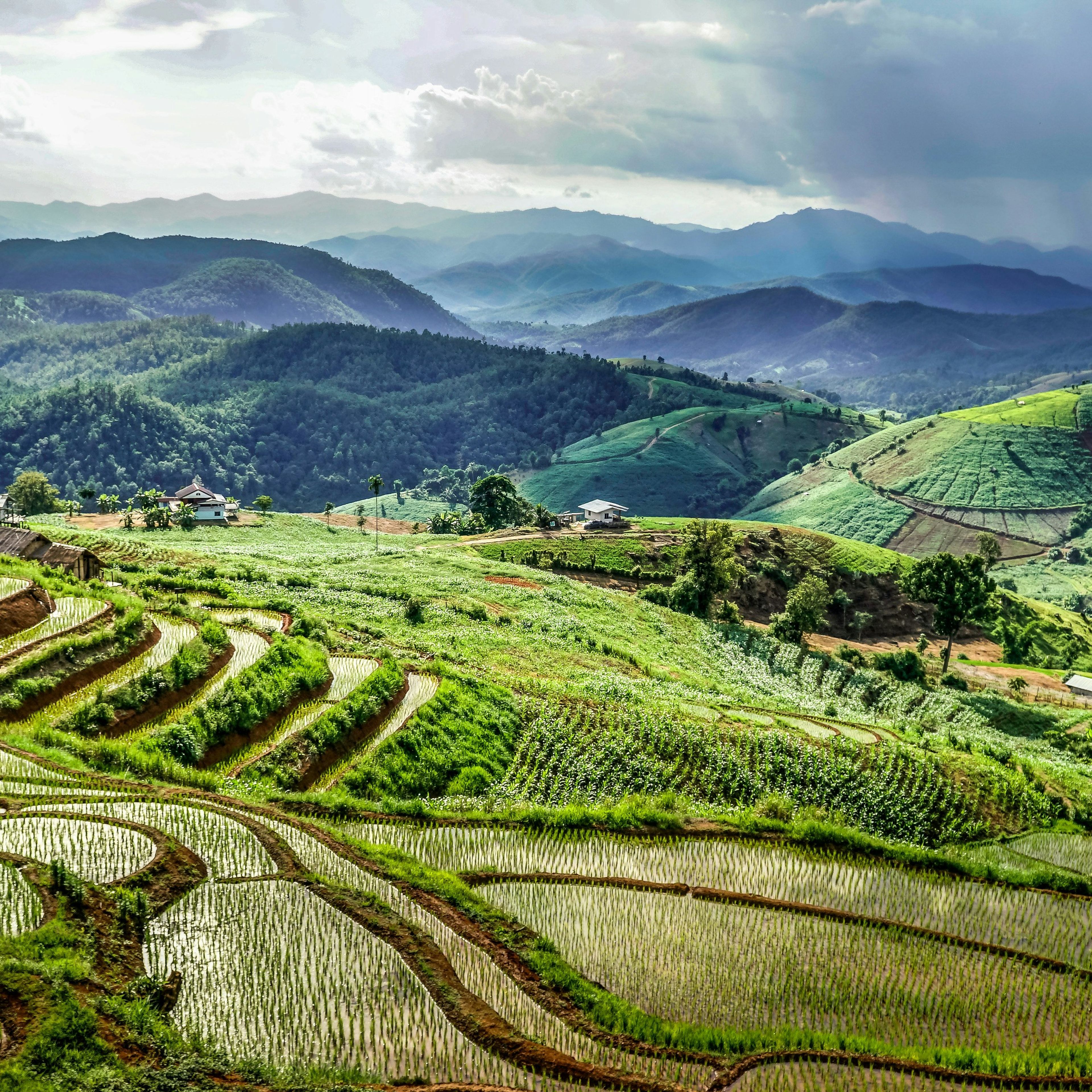 Chiang Mai